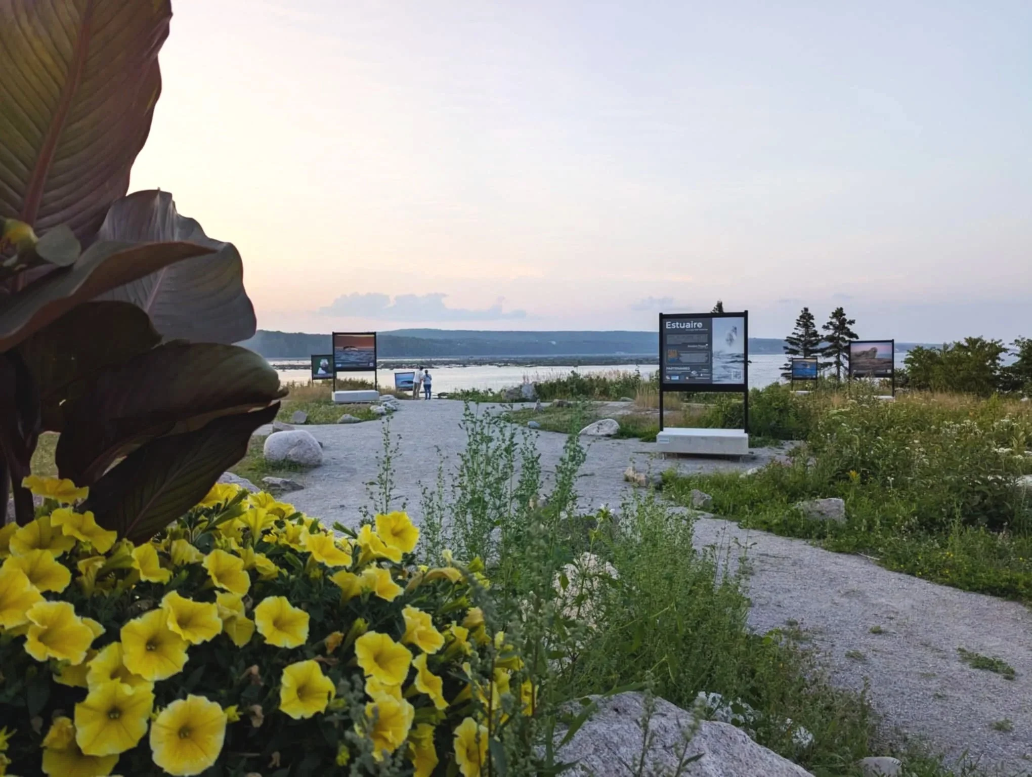 Exposition extérieure sur les baleine en pleine nature aux Escoumins près de Tadoussac