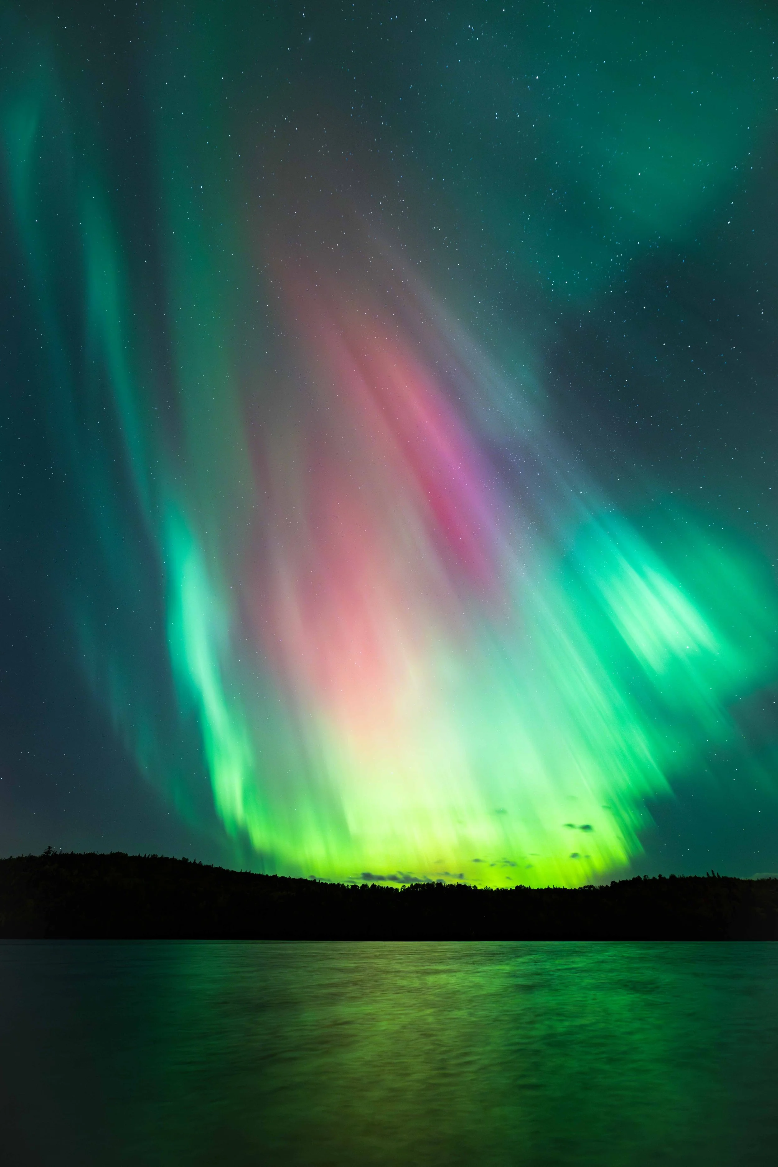 _DSC2748-Avec accentuation-Bruit.jpg