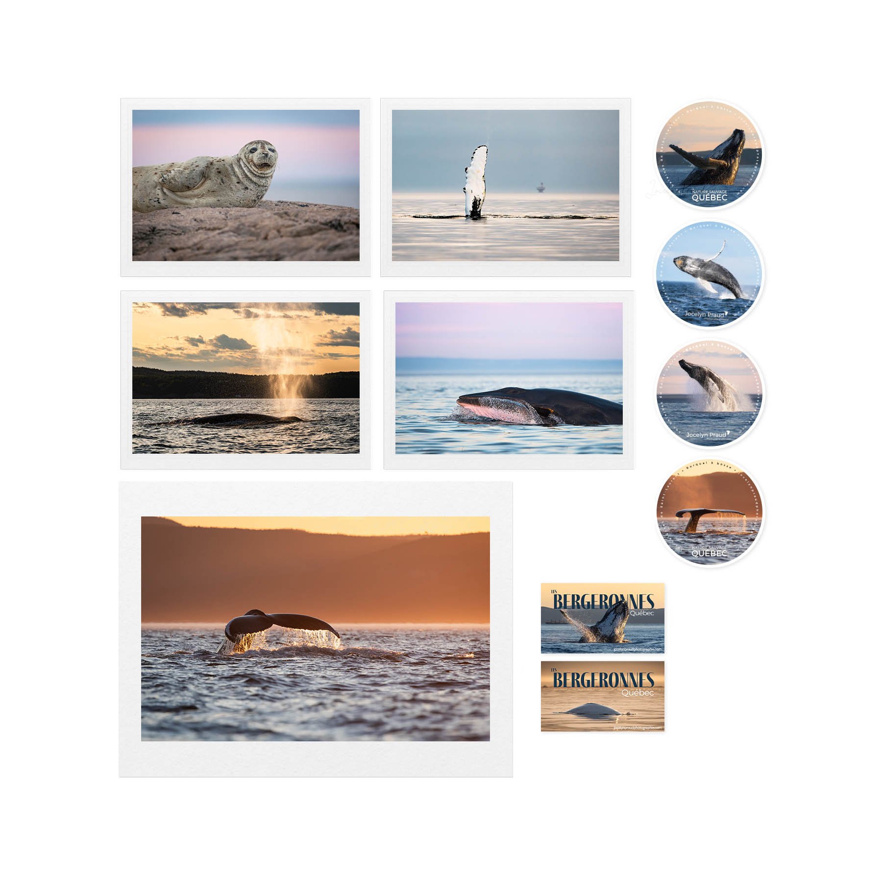 Ensemble fan de baleines avec impression