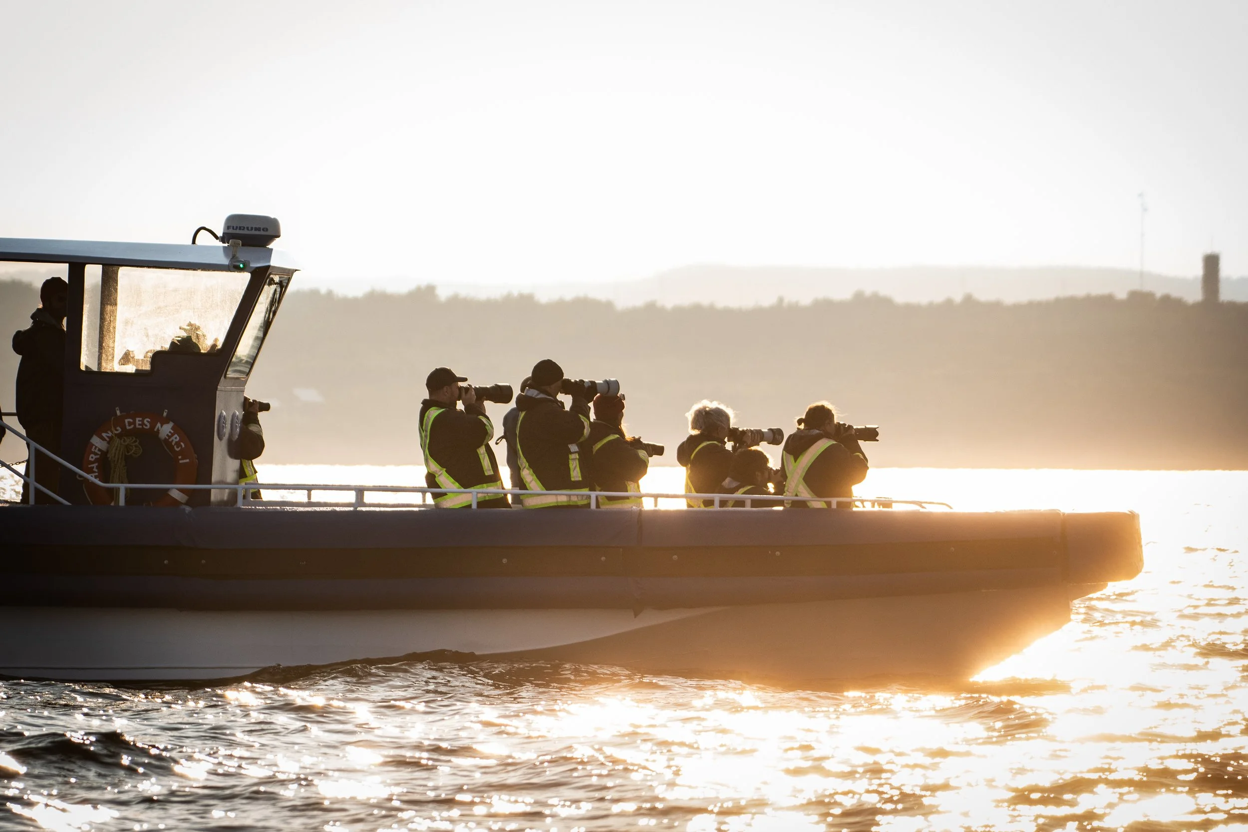 Atelier photo en mer avec les baleines aux Escoumins, près de Tadoussac!
