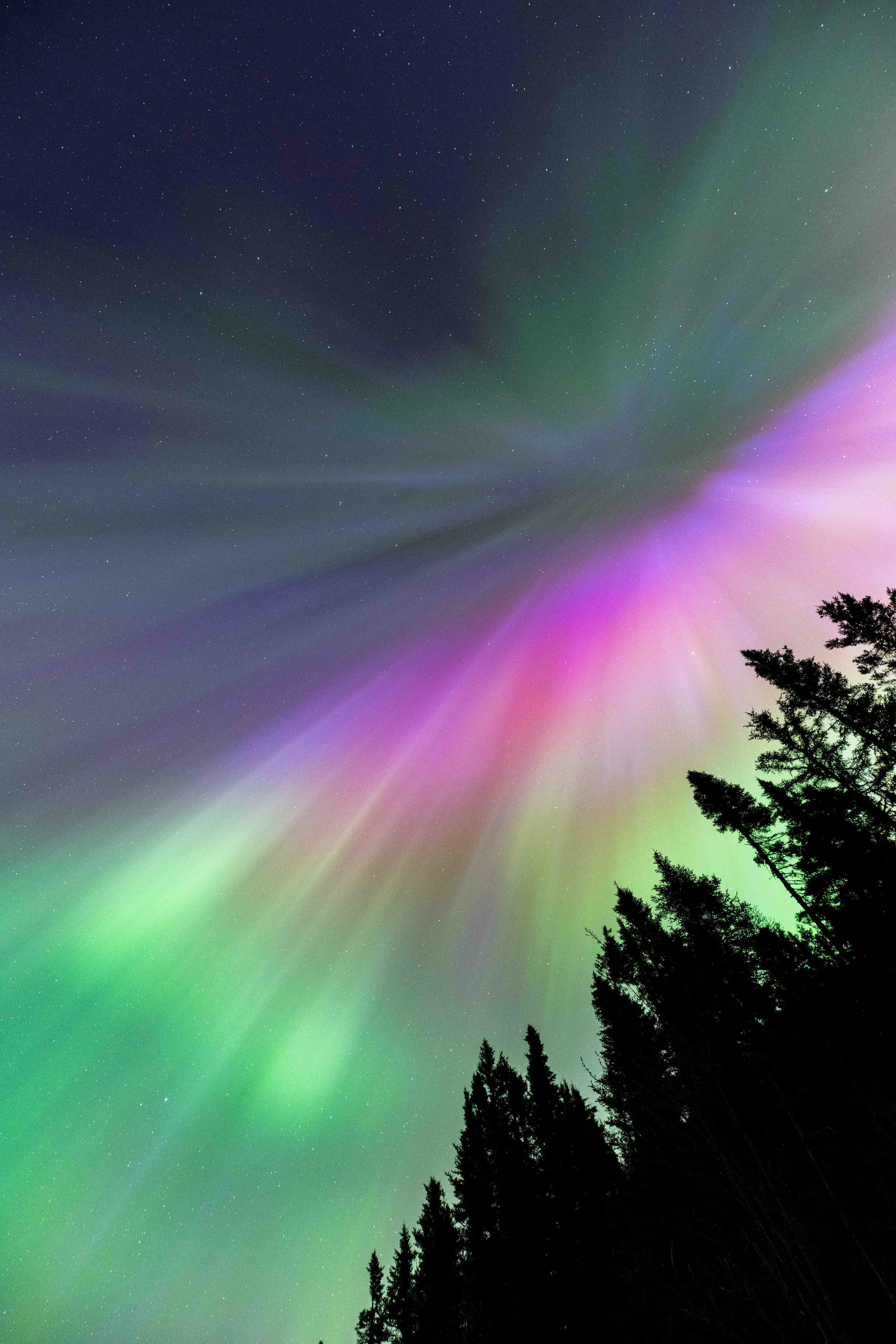 aurores boréales québec côte-nord Saint-laurent