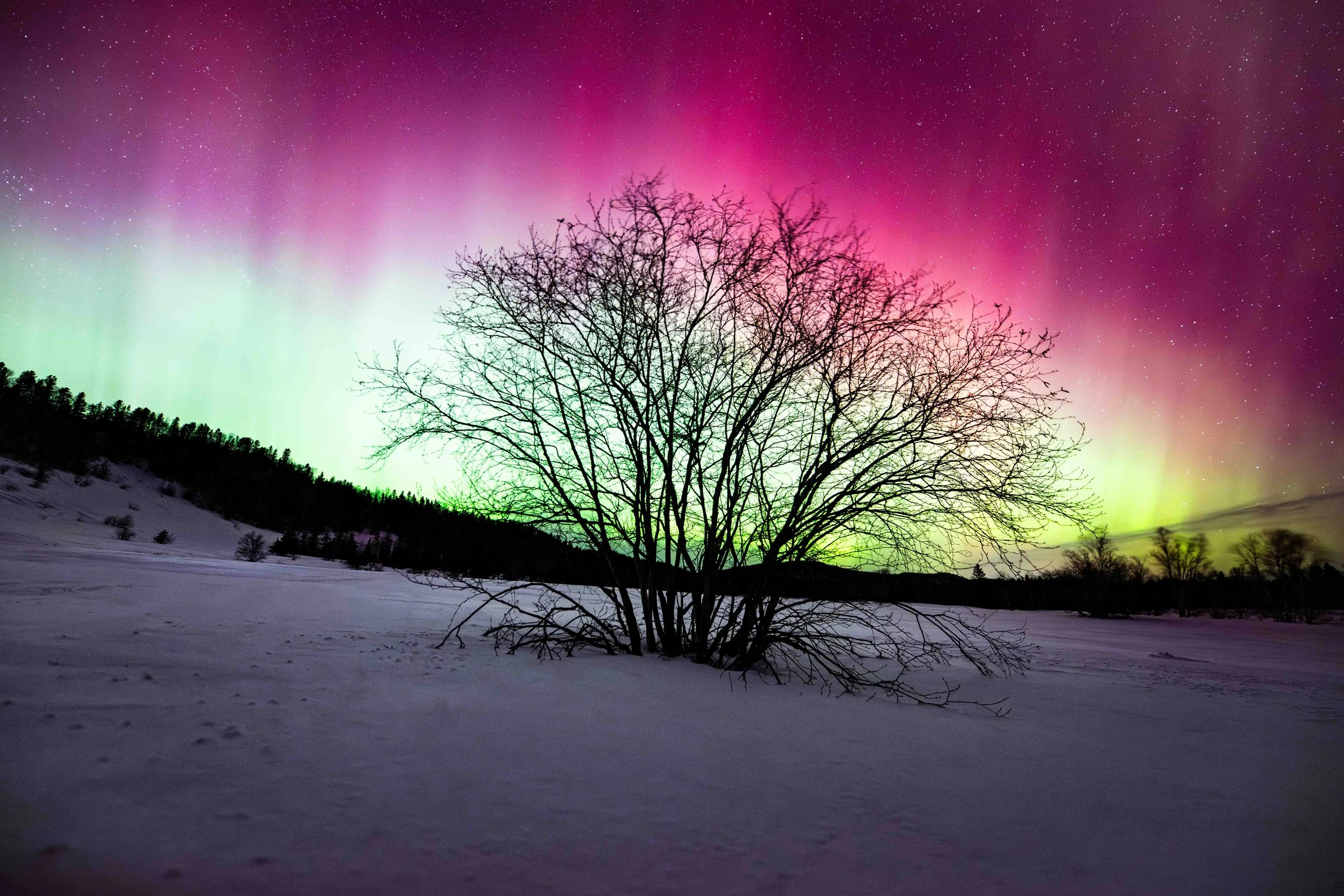 aurores boréales aux dunes de tadoussac au quebec l'hiver
