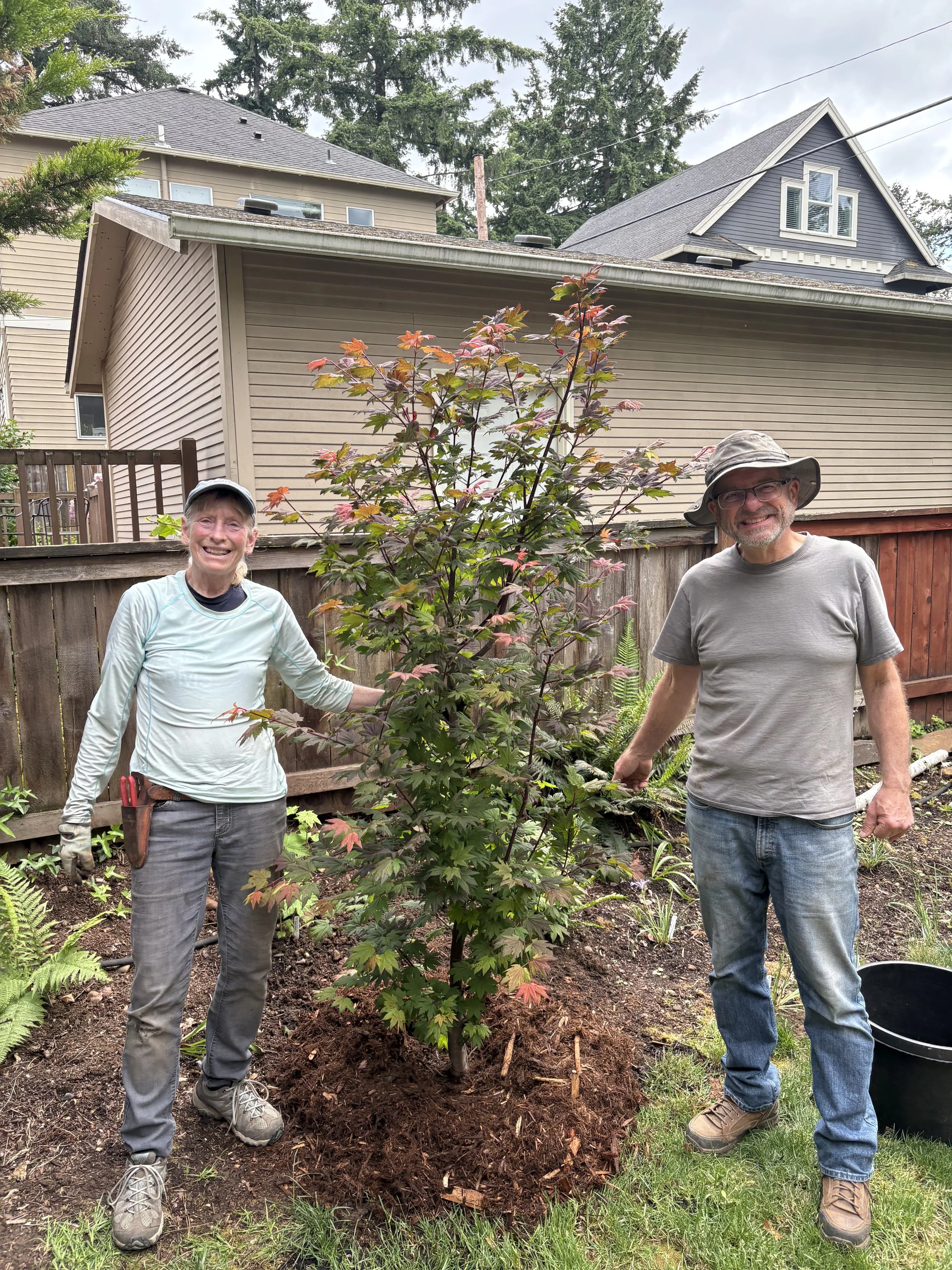 Meet Linda and Dave Gobberdiel: True Transplants 