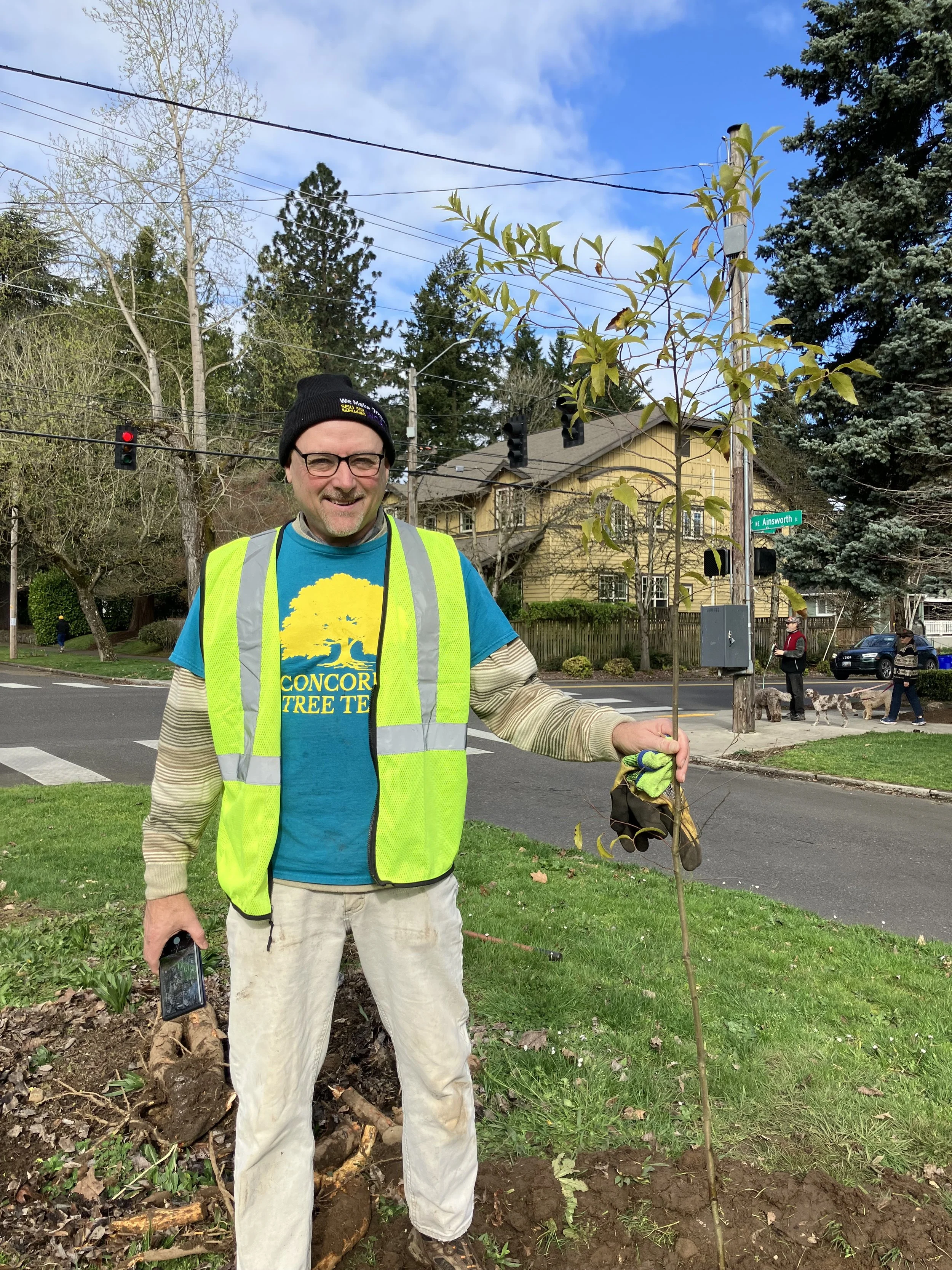 Quercus on 33rd: did you see the new ALA Median trees?