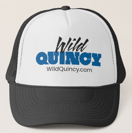 Wild Quincy Logo Hat (Copy) (Copy) (Copy) (Copy) (Copy) (Copy) (Copy)