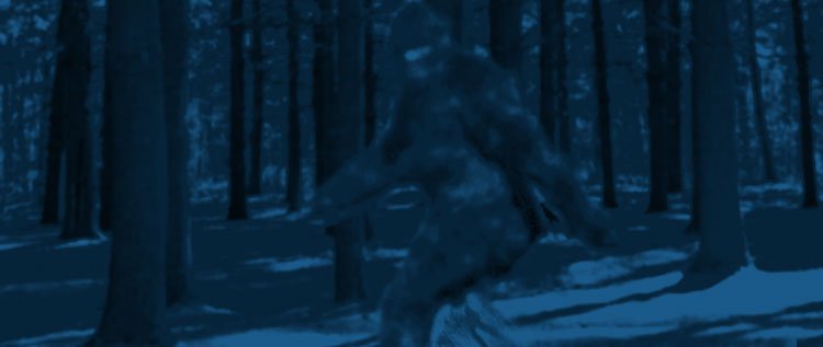 Bigfoot