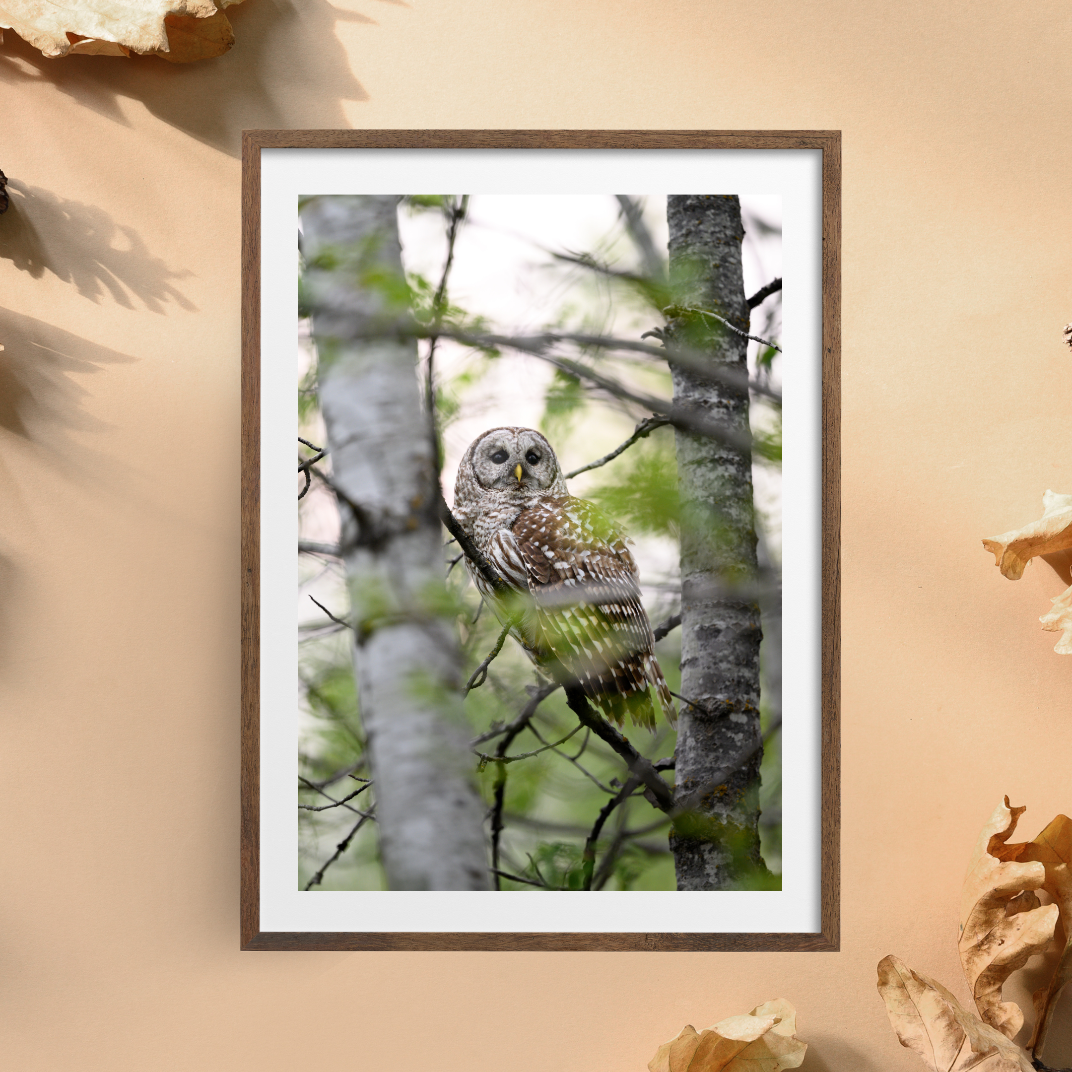 Brown Picture Frame Mockup Instagram Post (10).png