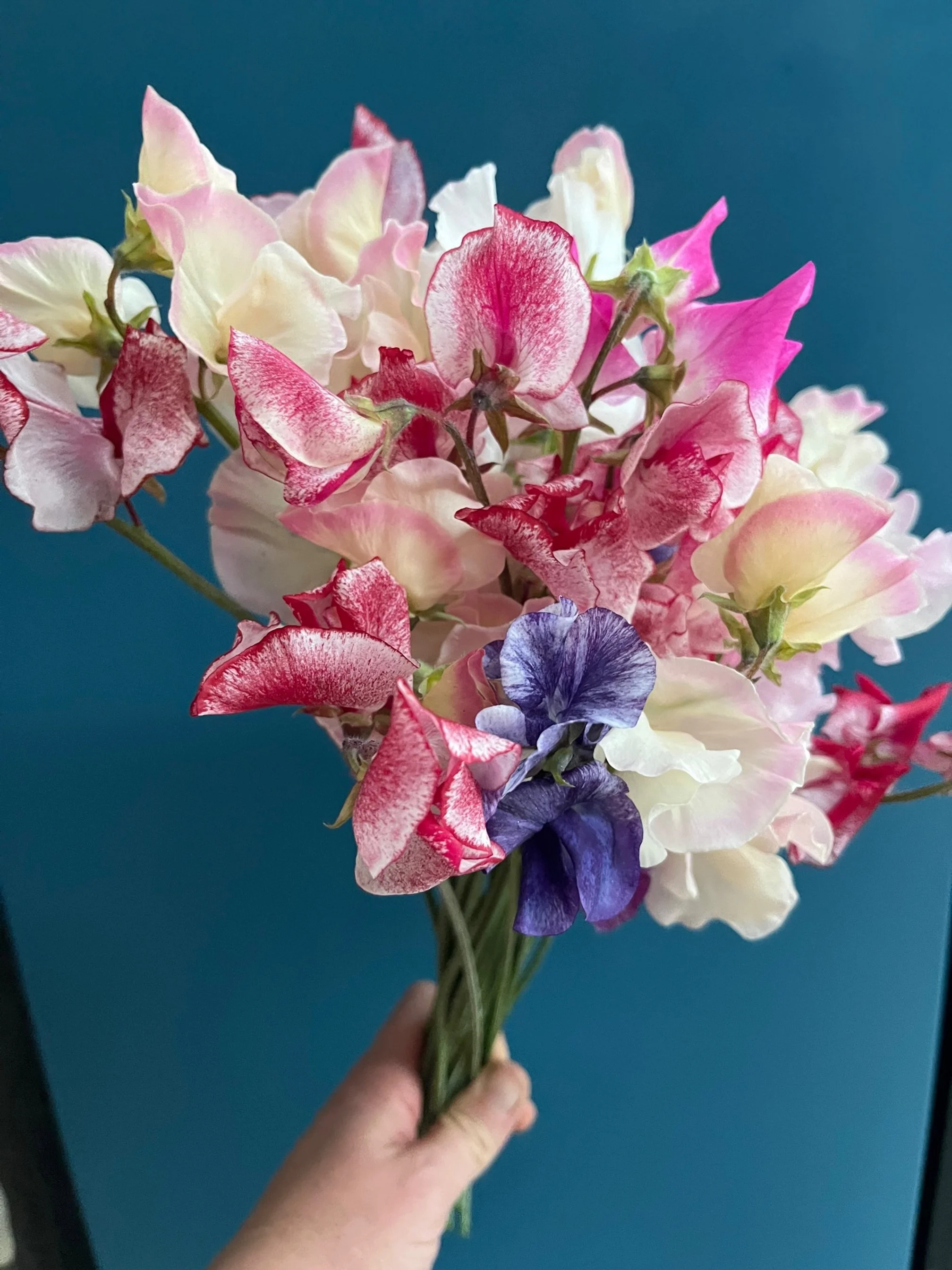 Store 1 — Cedar Flats Flower Farm