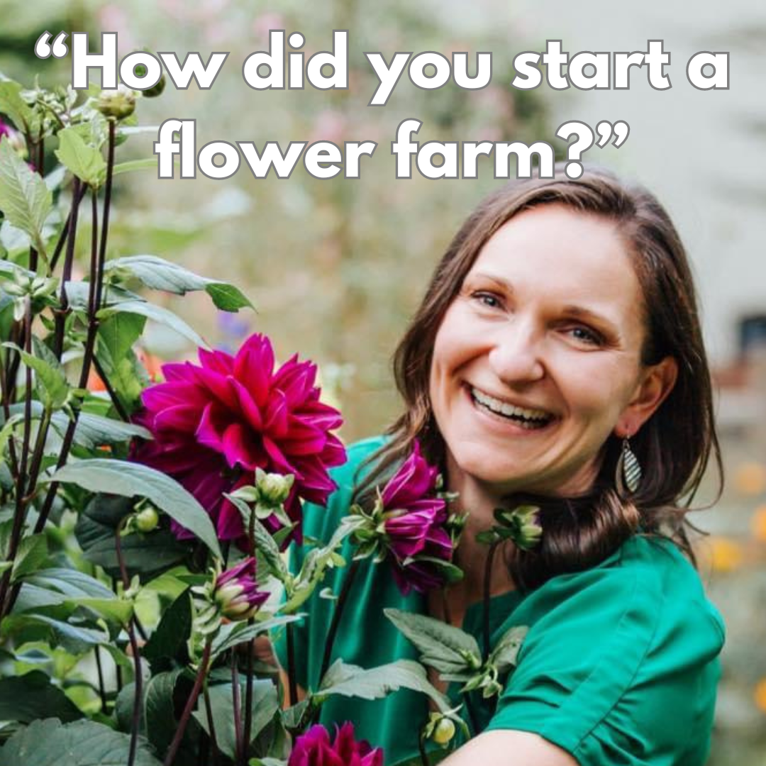 How did you Start a Flower Farm? — Cedar Flats Flower Farm