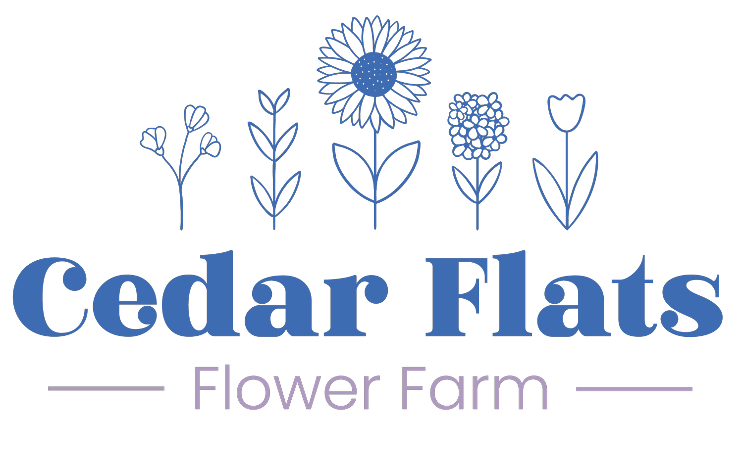 Summer Meets Fall! — Cedar Flats Flower Farm