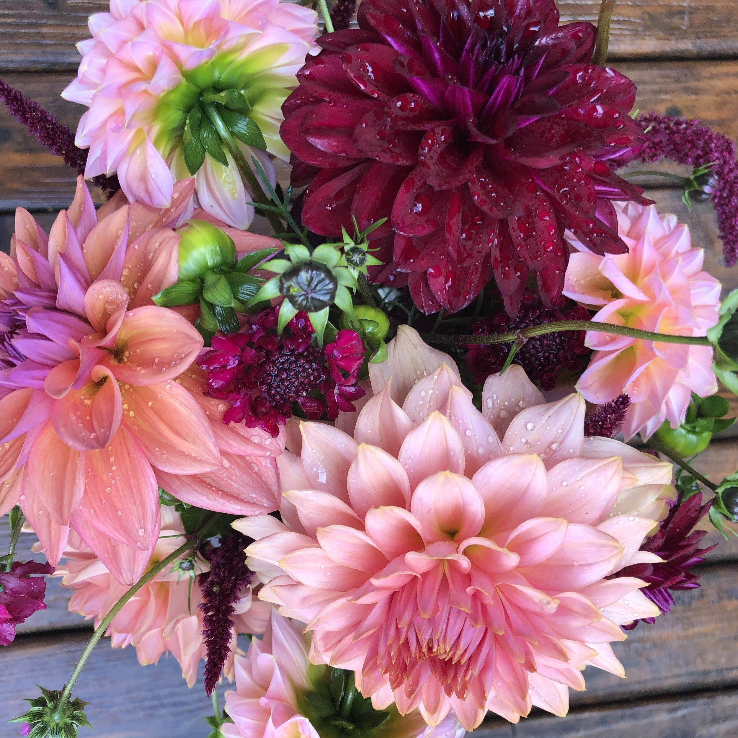 Appointments 2 — Cedar Flats Flower Farm