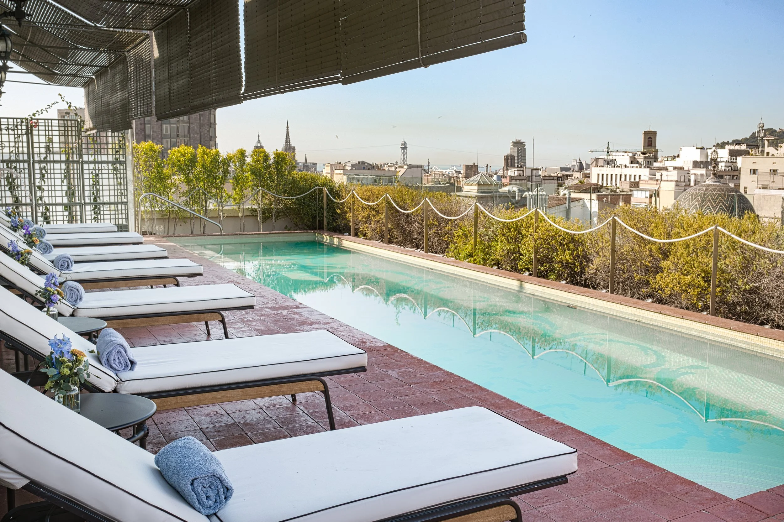 Rooftop Garden 2025 H10.jpg