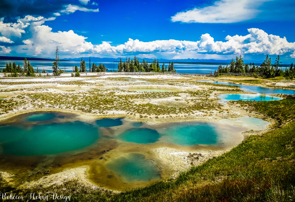 Yellowstone National Park, WY USA