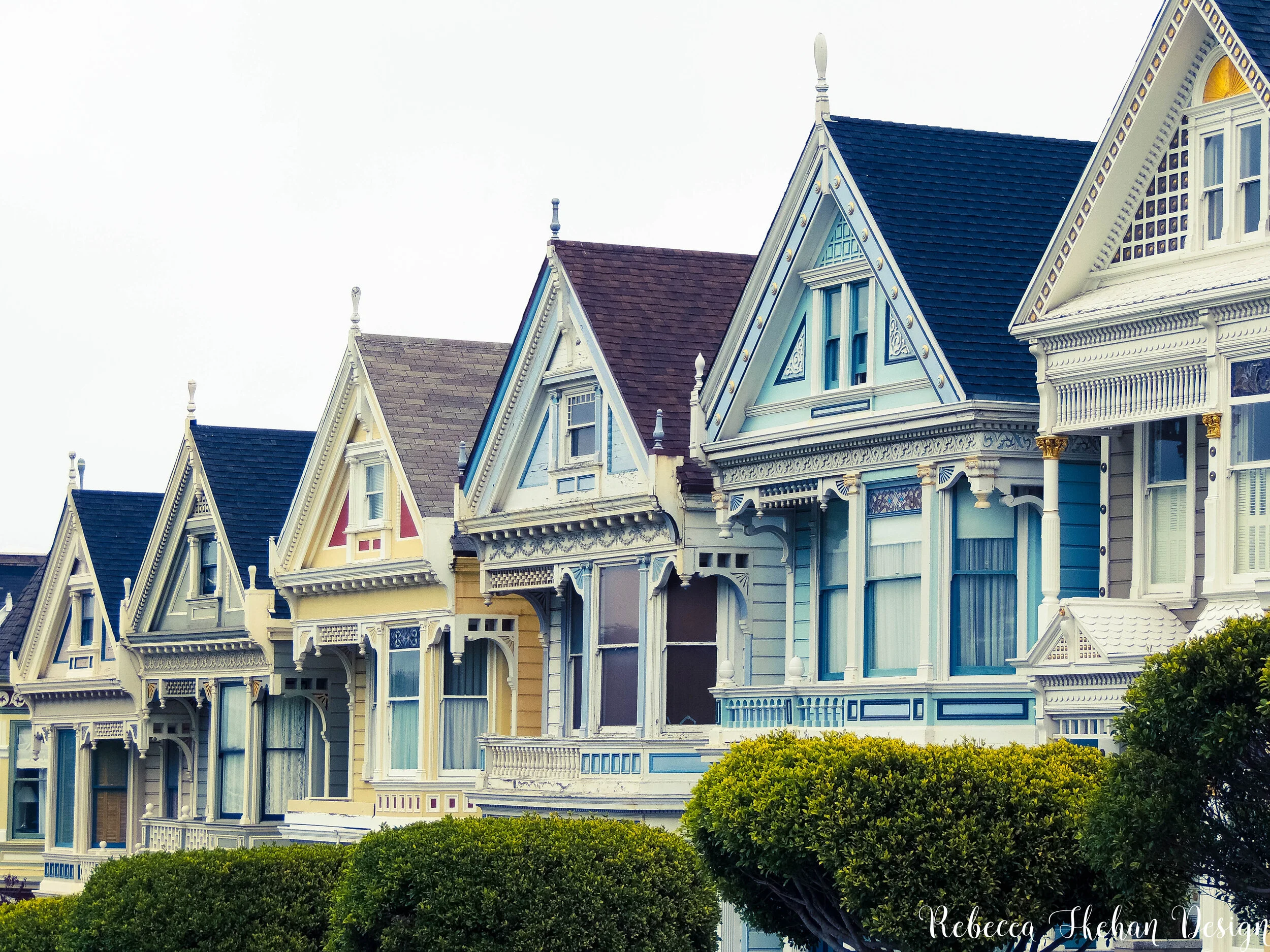 PAINTEDLADIES.jpg