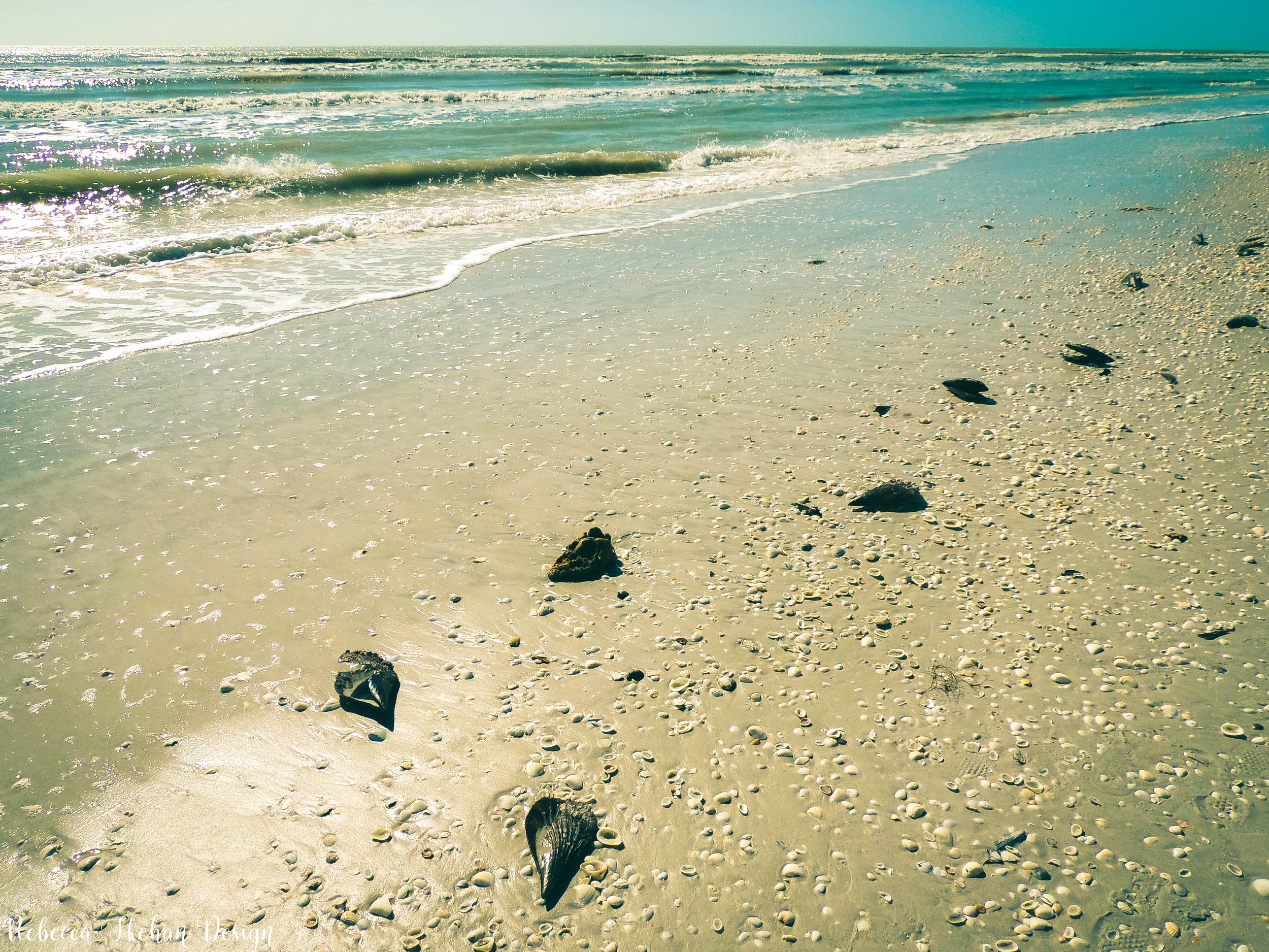SANIBELISLAND.png