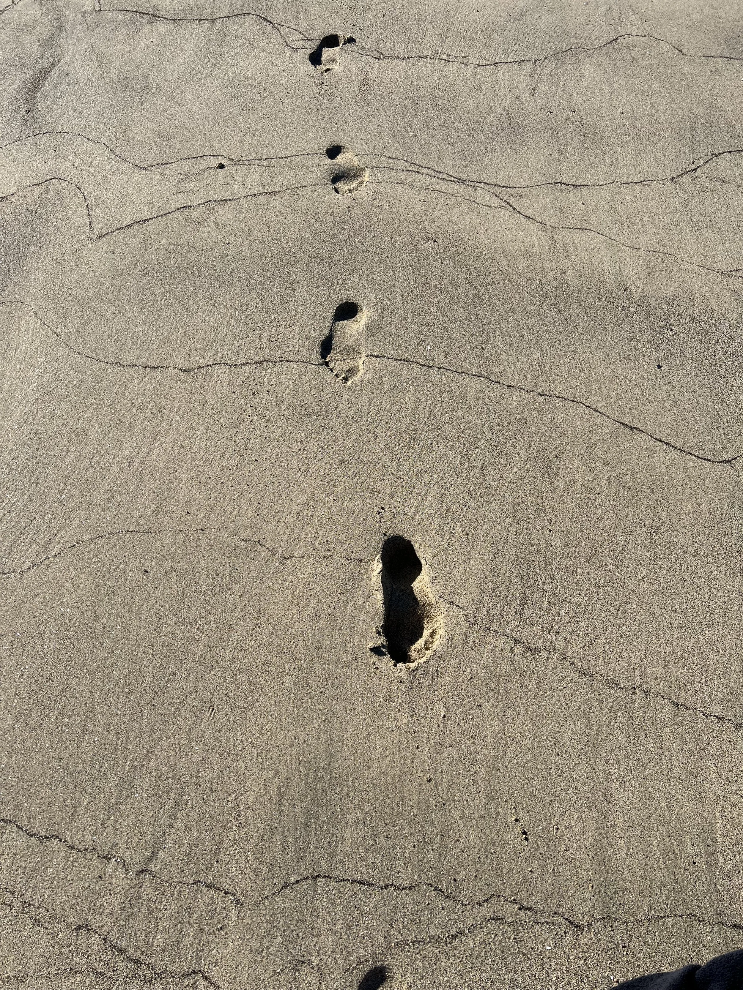 A Weekend of Connection, Movement, and Nourishment