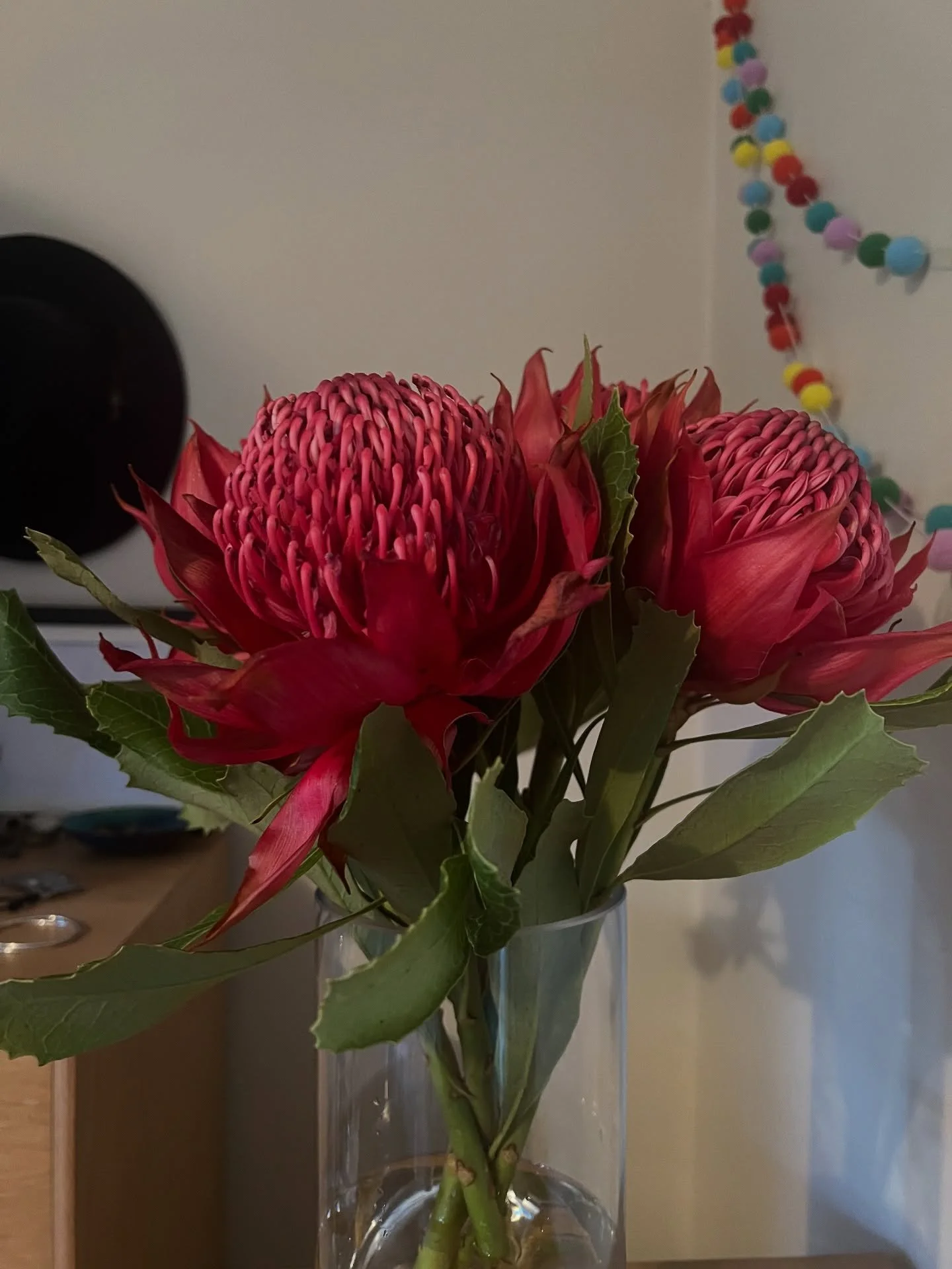Some friendships feel like home &mdash; those rare souls who just get you. 🌸
Feeling so grateful for my treasured friend, Heila, who surprised me with these beautiful flowers &mdash; she knows exactly what they mean to me. Thank you, gorgeous, for y
