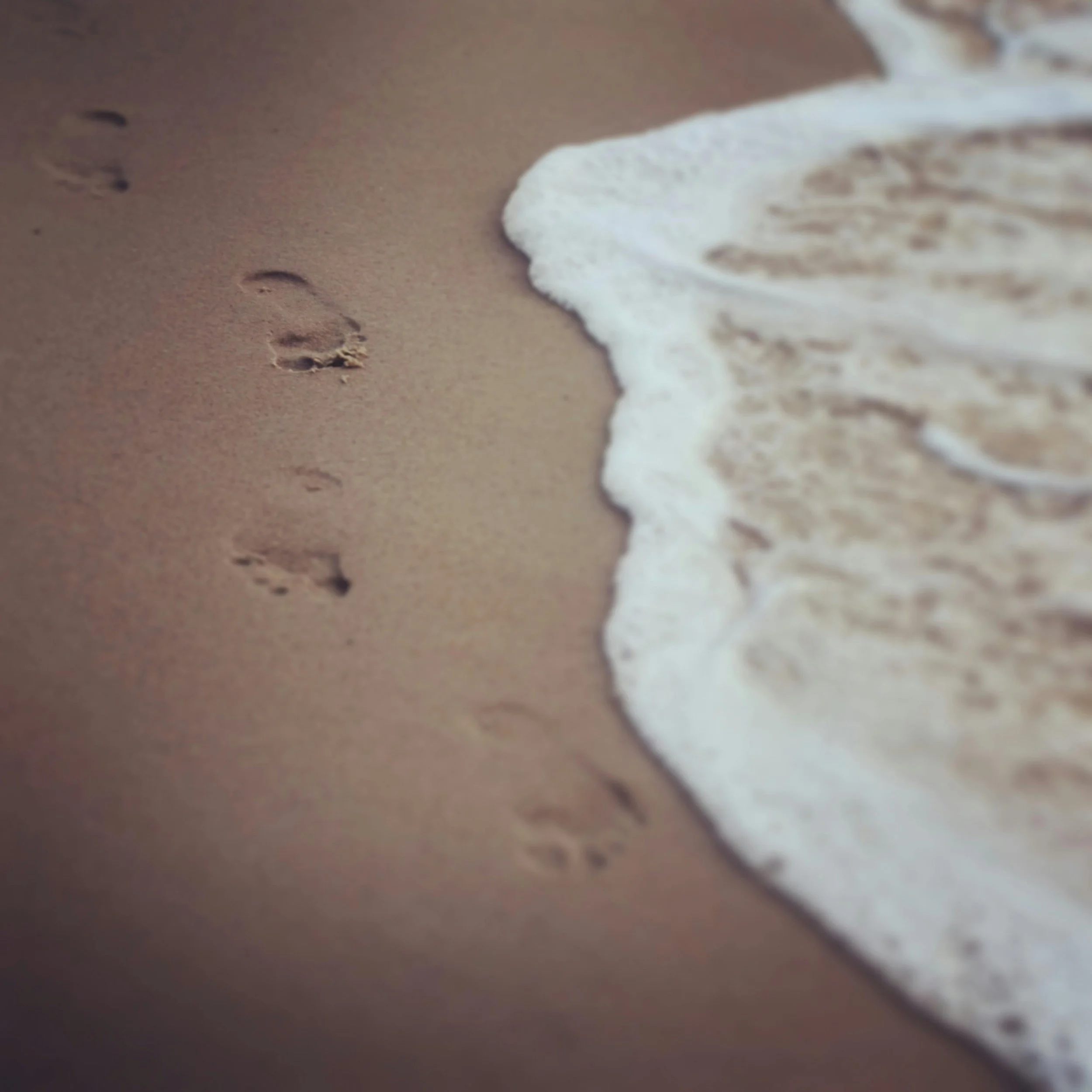 Footprint on a natural path symbolising gradual progress and one step at a time in therapy