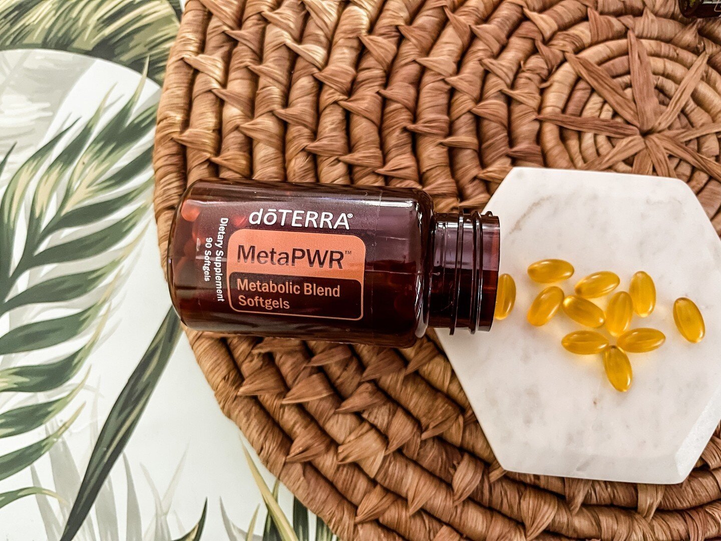 🌟💆 2024 EVOLUTIONARY CLEANSE 💆🌟 {MetaPWR Metabolic Assist}⁠
⁠
MetaPWR Assist serves as a powerful addition to a daily metabolic health regimen when taken daily before the largest meal of the day.* Each capsule contains standardized mulberry leaf 