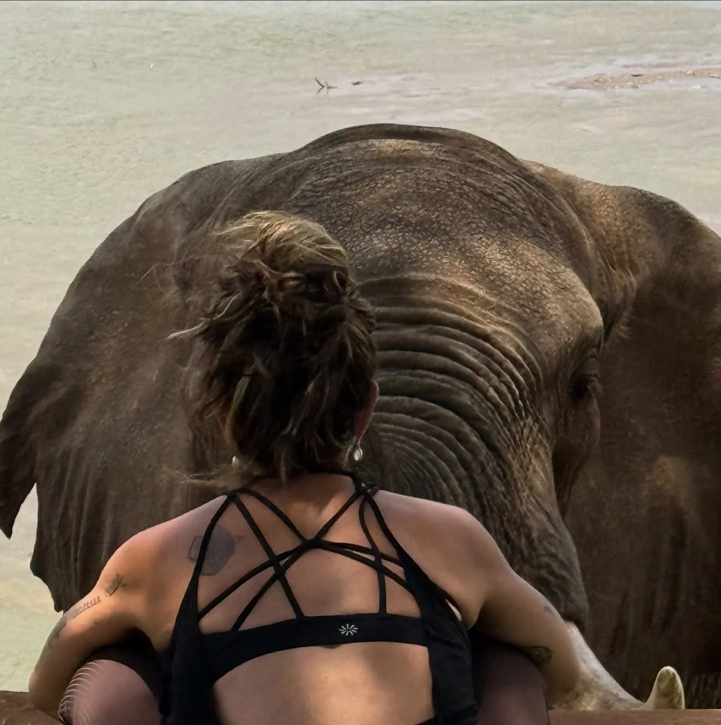 Nature is my religion and getting this close to another soul, walking the planet as an elephant, is life changing. 

It takes me out of my body and into the true connection of everything. They say Kenya changes your life and I&rsquo;m a subscriber. 
