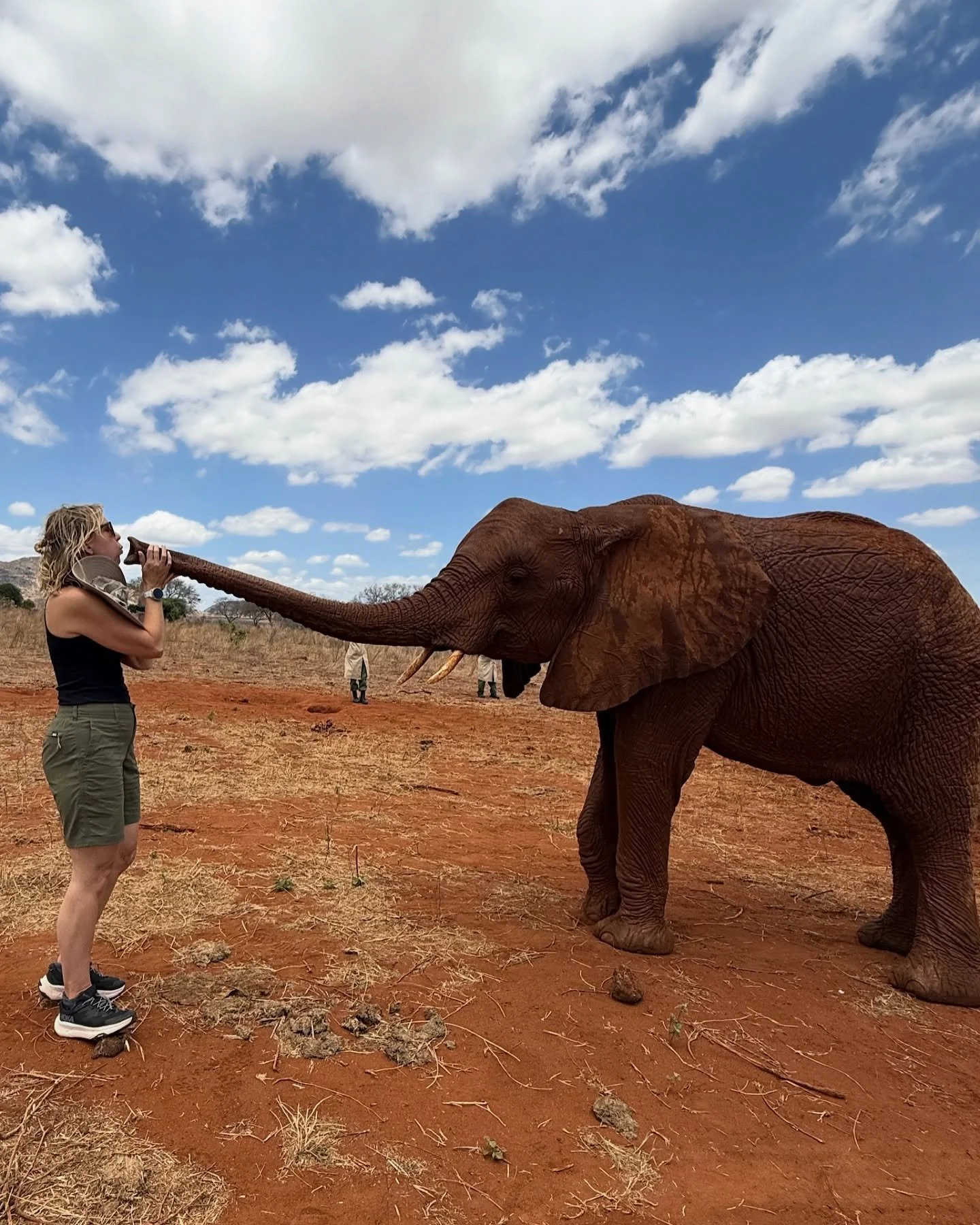 💫EARLY BIRD PRICING AVAILABLE THROUGH 12.31.2026💫

Imagine adopting an elephant, and then meeting her/him in Kenya. 🐘✨

This experience is something that changed my life forever.

Once we arrive in Africa, we will journey into the wild heart of co