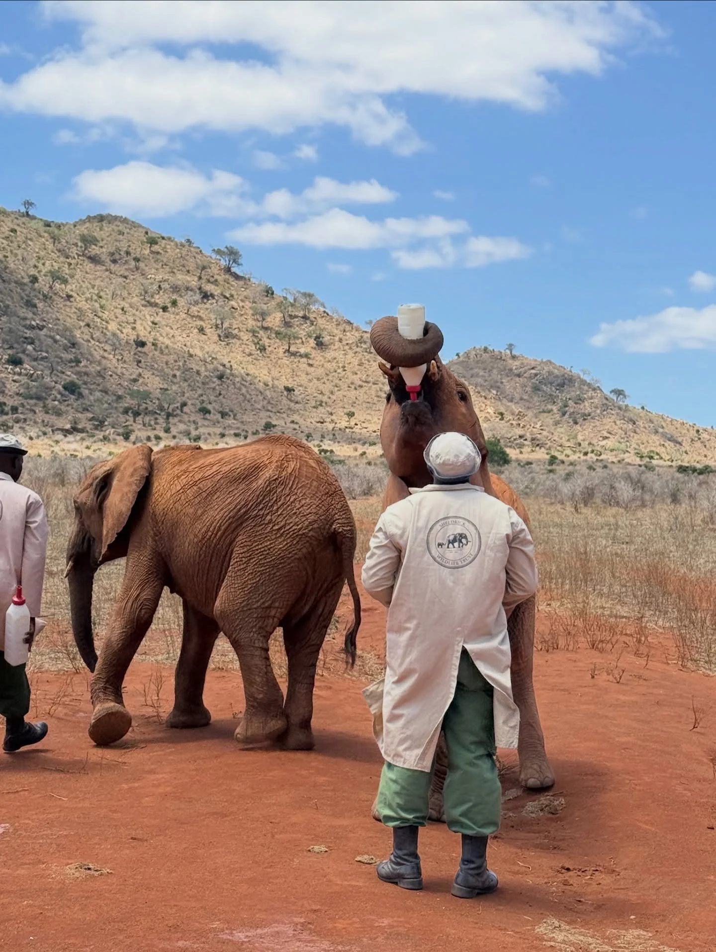 The Kenya retreat is a journey into the heart of the wild - and into meaningful connection with the land, its people, and its wildlife.

A core pillar of this retreat is giving back to the land and wildlife that make this experience possible. In part