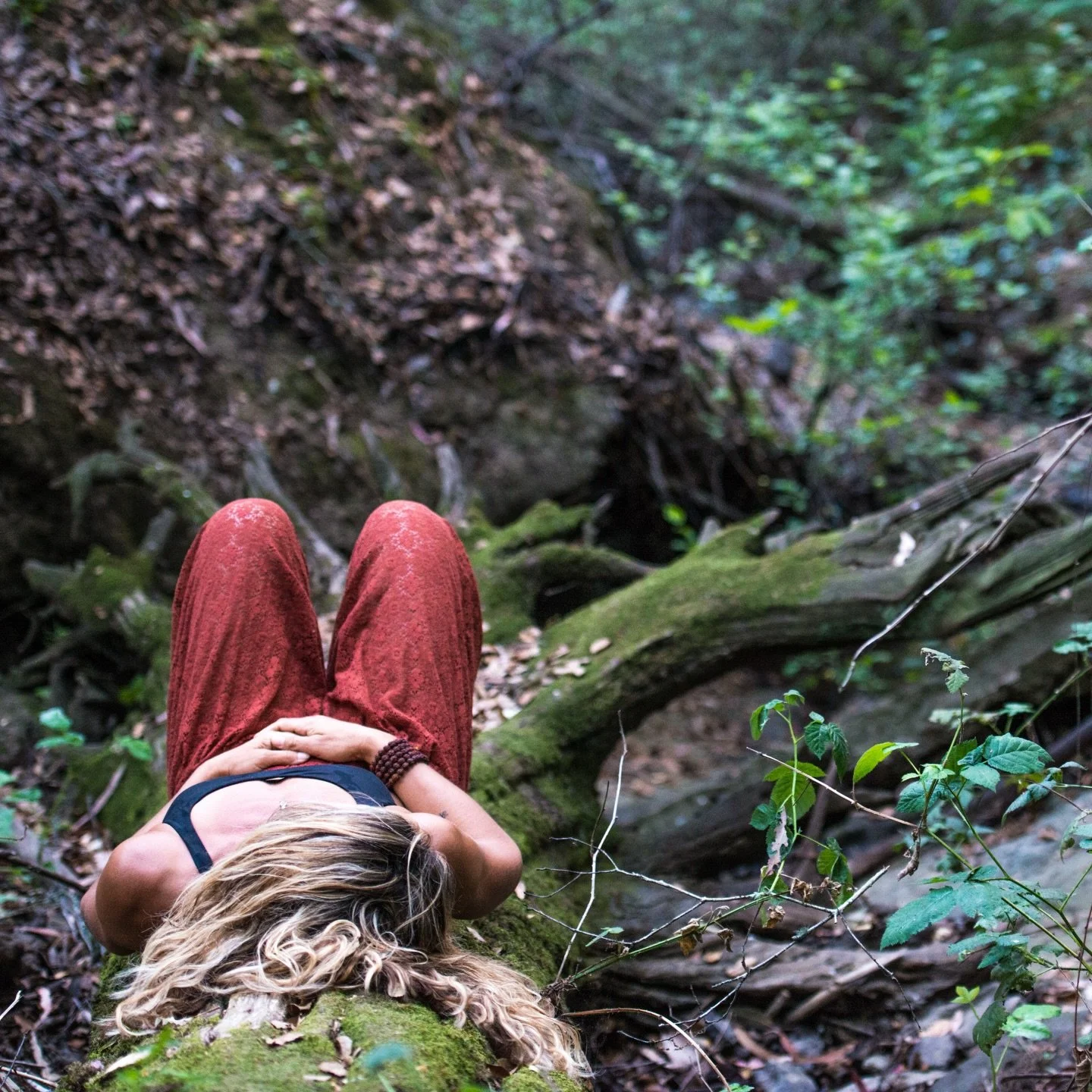 So unhinged by what&rsquo;s going on.

It&rsquo;s getting harder and harder to focus.
 ✨Military warnings here in San Diego. ✨LGBTQ+ rights being stripped away. ✨People needlessly dying.
✨Parents aging. 

It&rsquo;s so much. And all my tools are on o