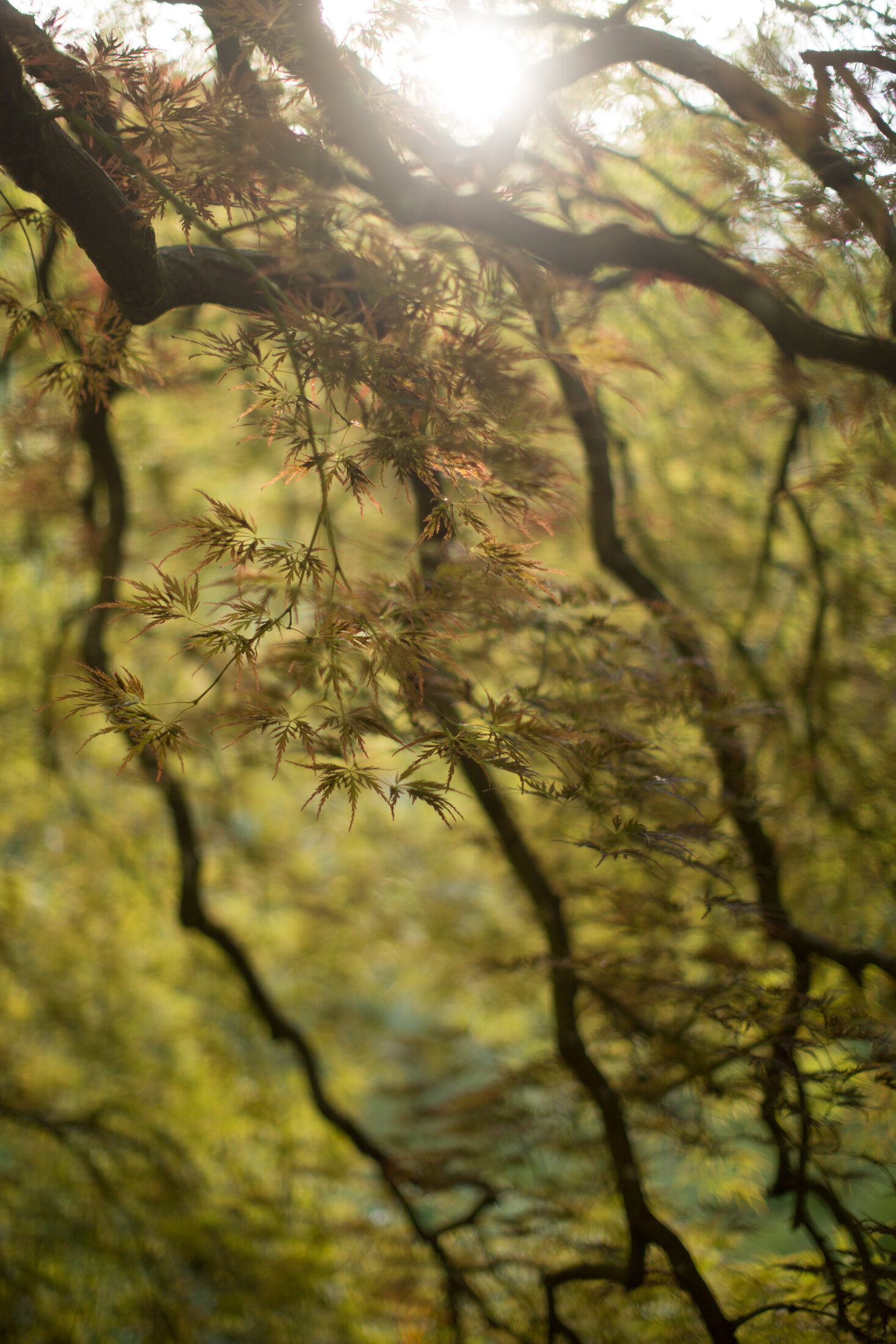 Blatt-AaronBlatt_OregonCoast-1668.jpg