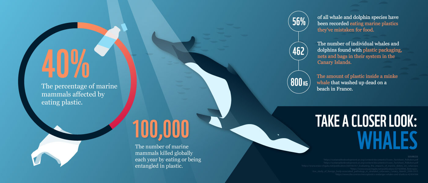 Pollution — WWF Protecting Whales & Dolphins Initiative