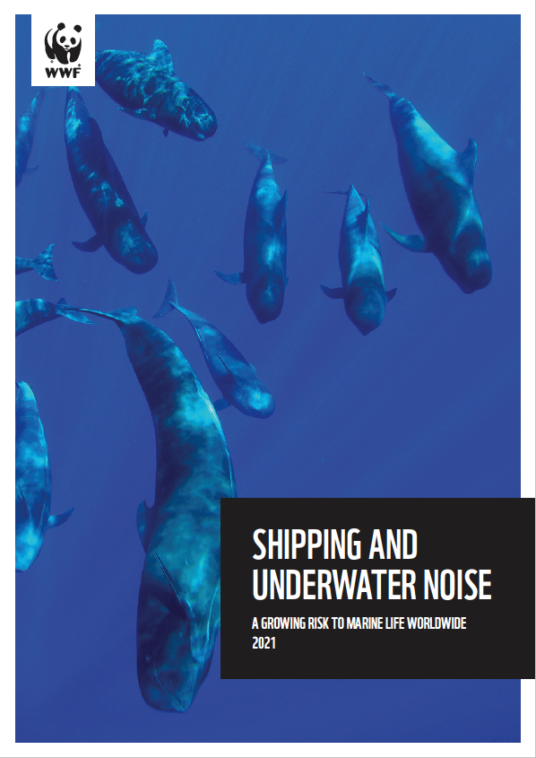 Shipping and Underwater Noise - A growing risk to marine life worldwide ...