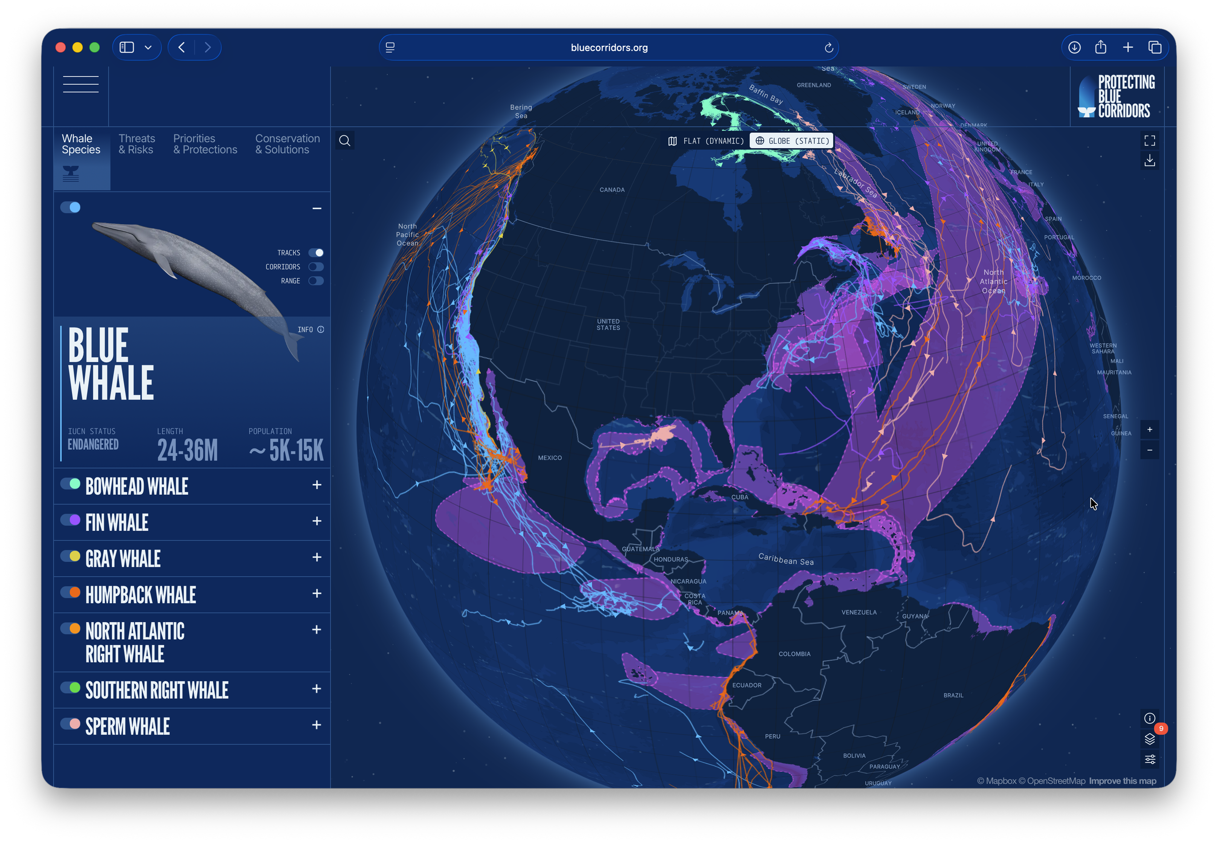 BlueCorridors.org Wins 2026 Webby Award, Spotlighting Whale Conservation and Solutions