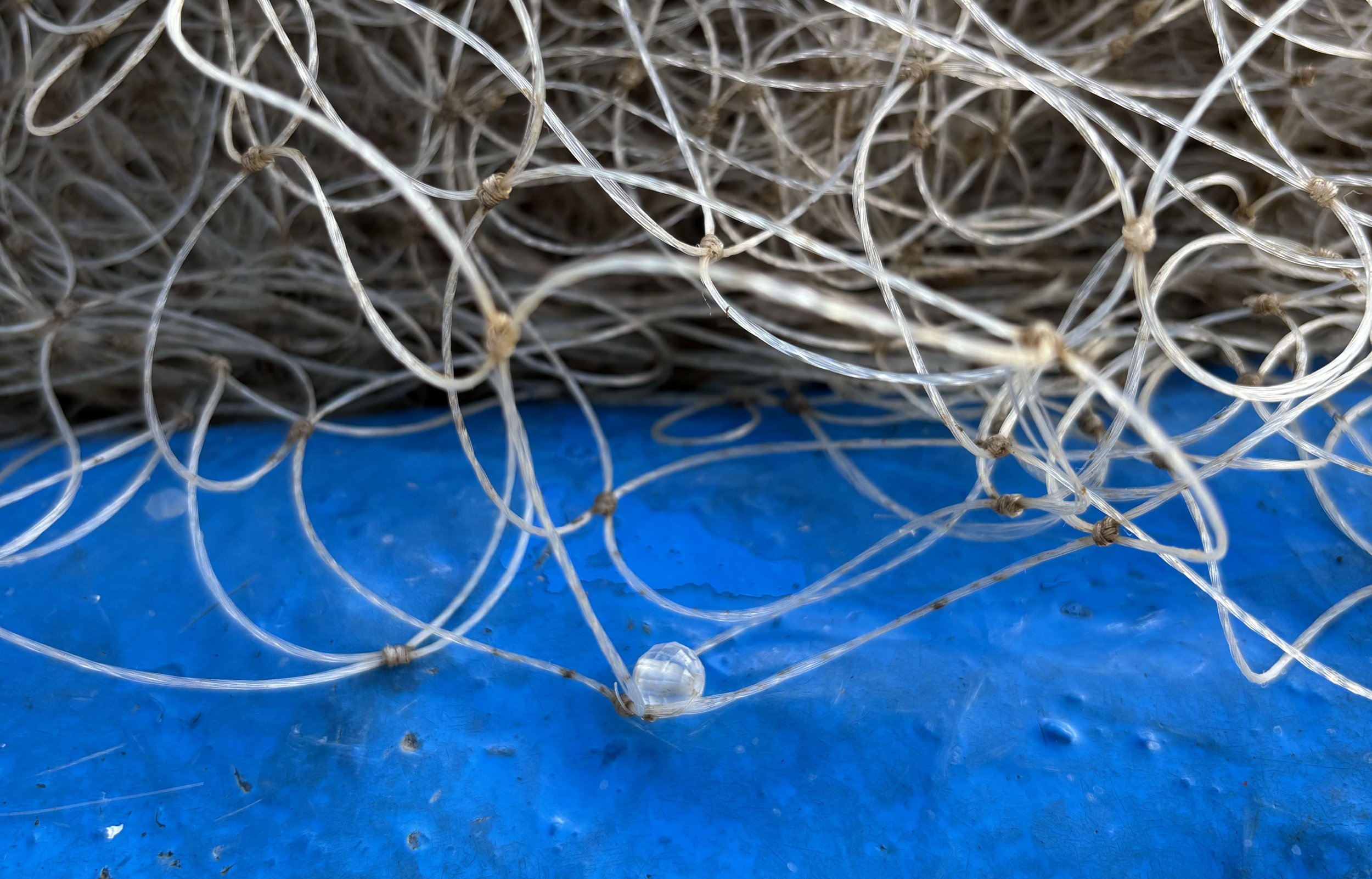 Acrylic balls on gillnets are a strategy to minimize dolphin bycatch. This method takes advantage of dolphins’ echolocation, helping the dolphins perceive the nets as barriers. Photo: WWF Indonesia / Chaerul Ahadi
