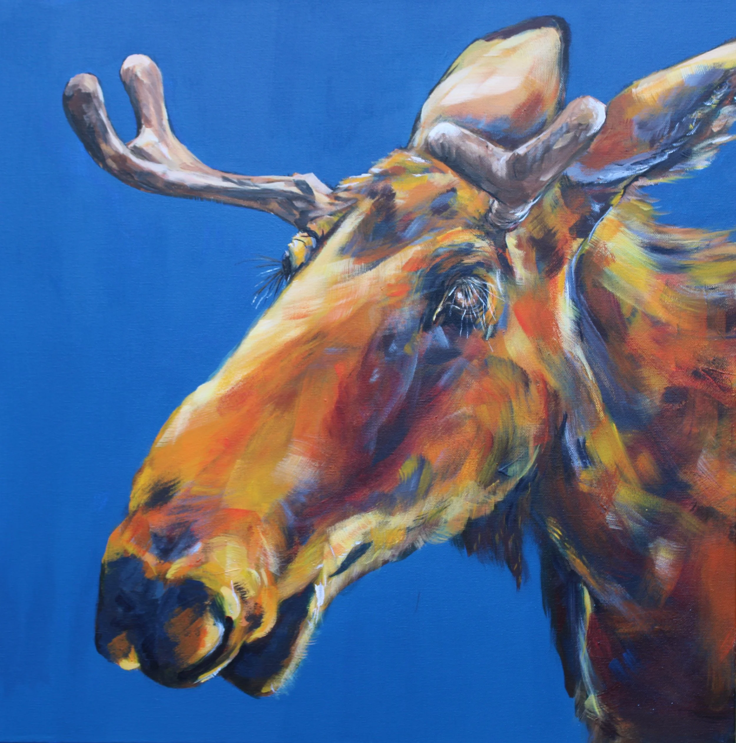 Lisa Bramhill Crit 4 Tonic of the Wilderness (renamed).jpeg