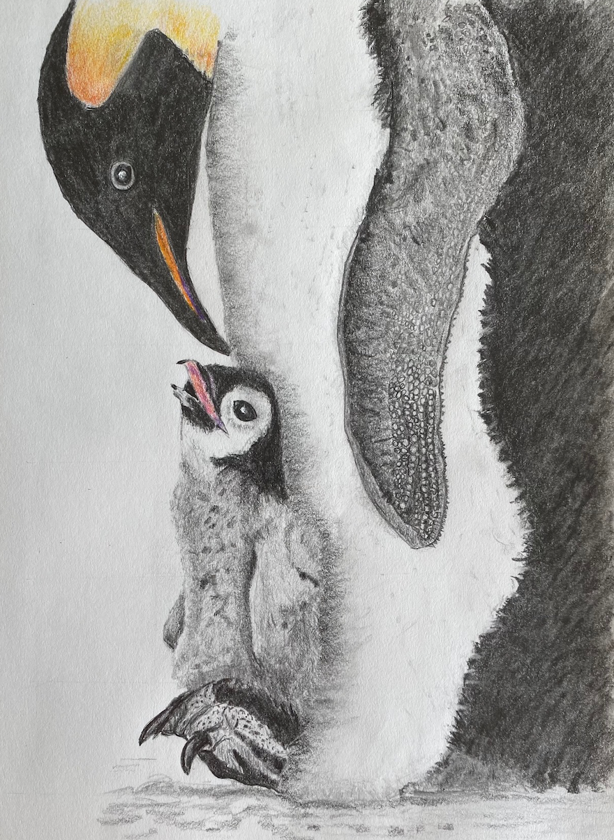 ©Jan Dreyer Penguin - Create Anyway Collective