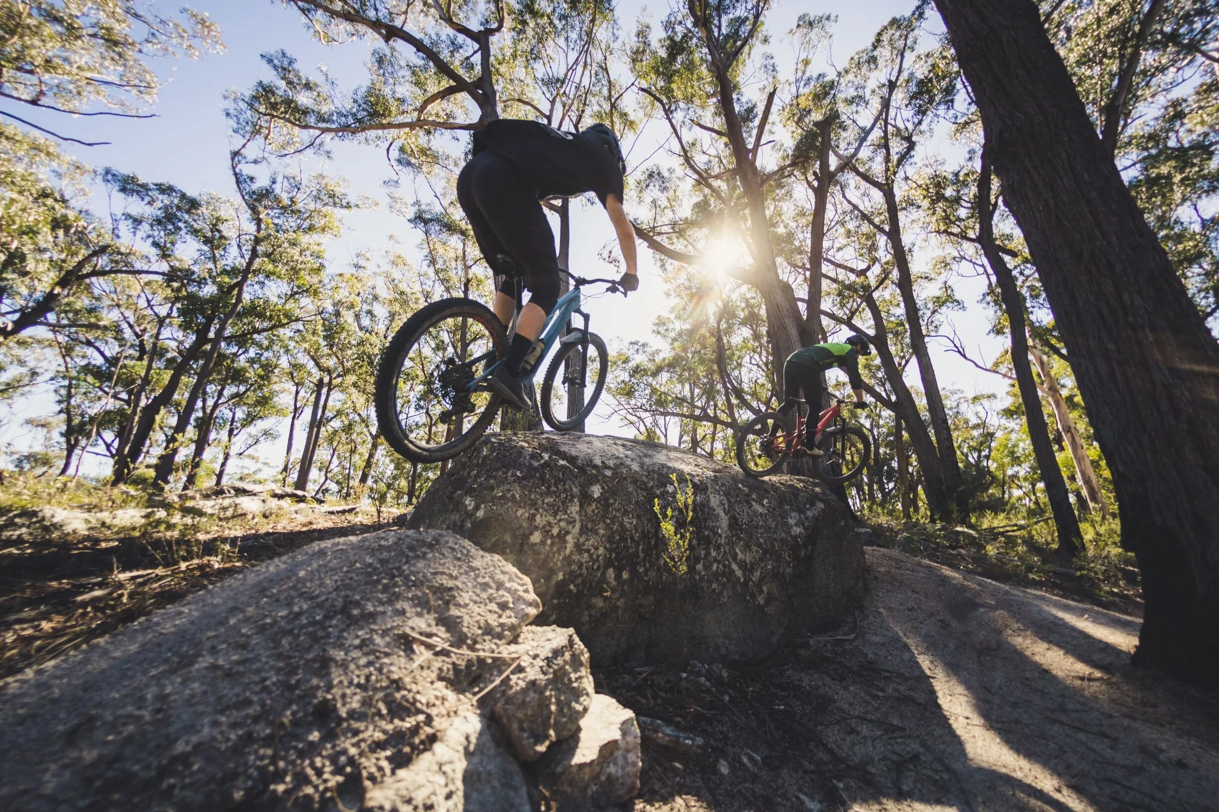 Into The Wild | Premium Mountain Bike Tours Tasmania
