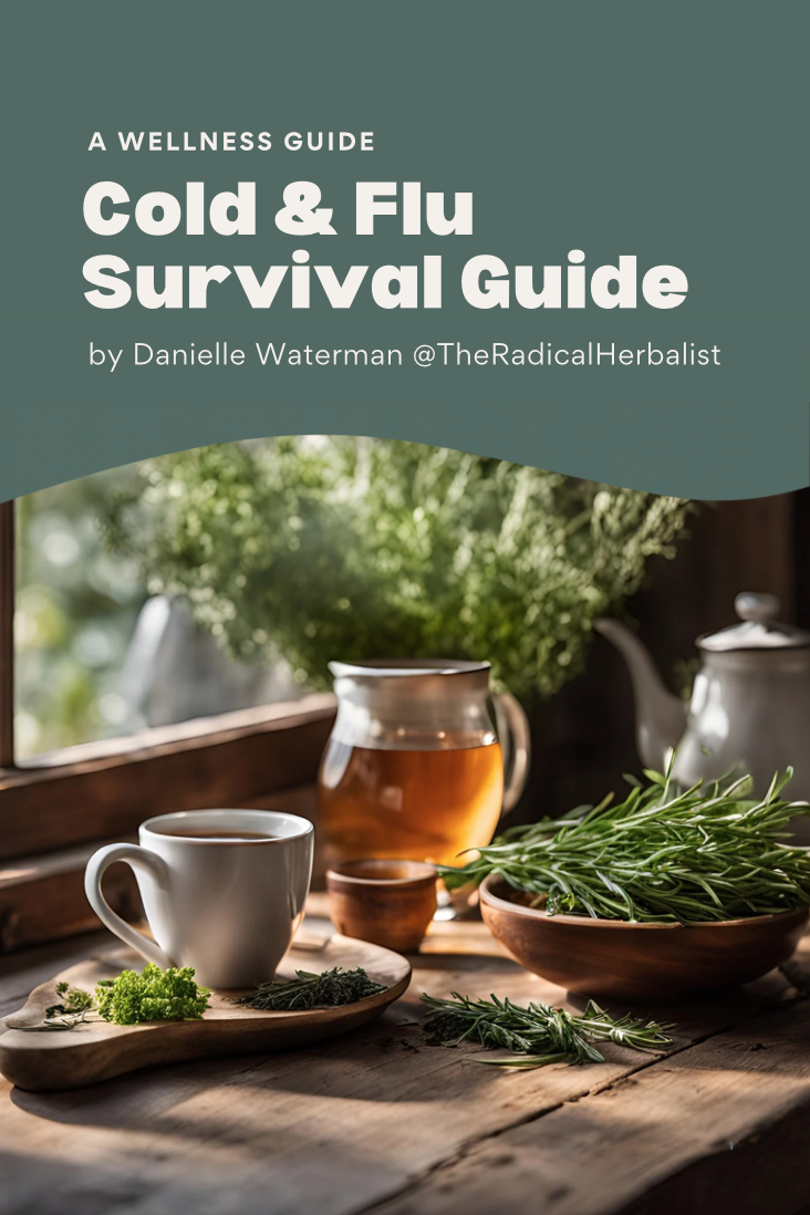 Cold & Flu Survival Guide E-Book