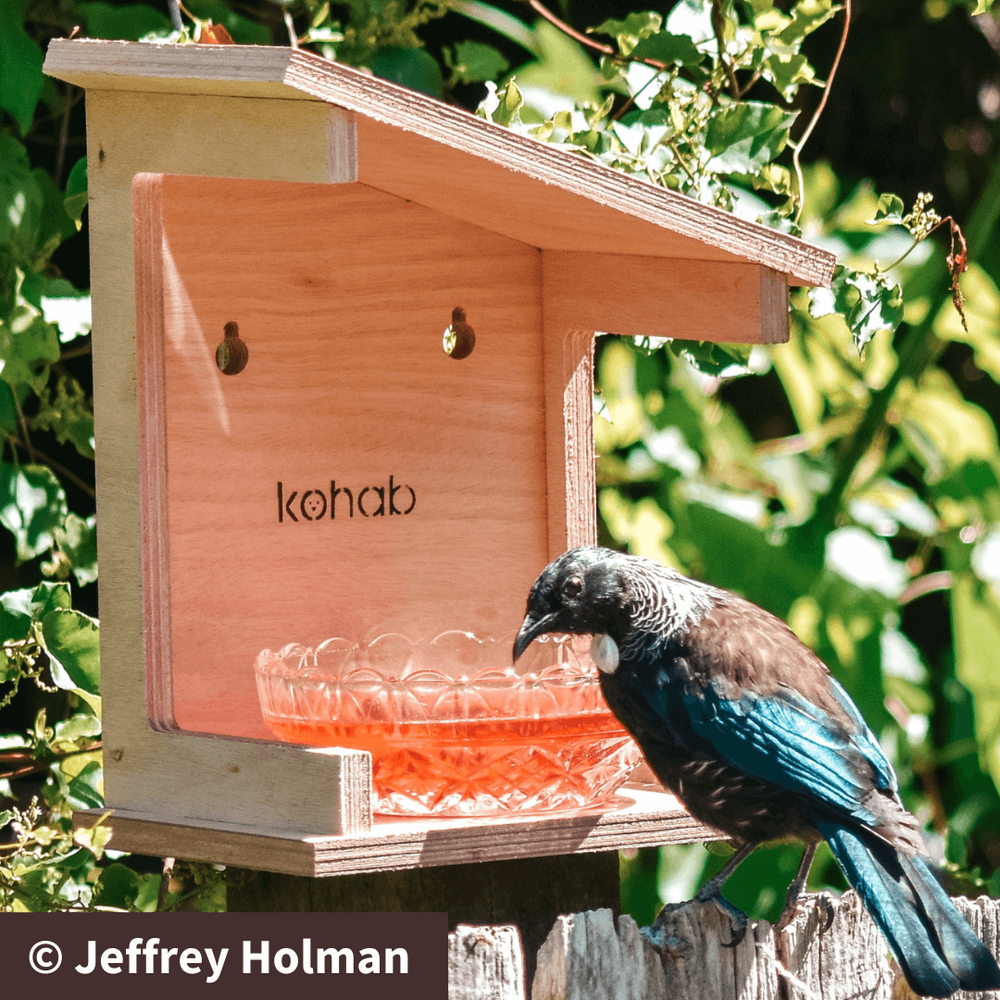 Kohab Ruru Birdhouse — Kohab