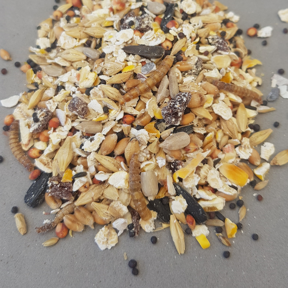 Goldfinch | Kohab Bird Guide — Kohab