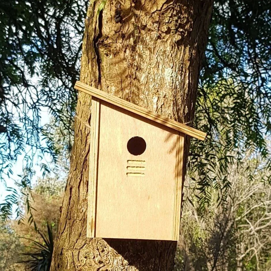How to choose a birdhouse for NZ garden birds. — Kohab