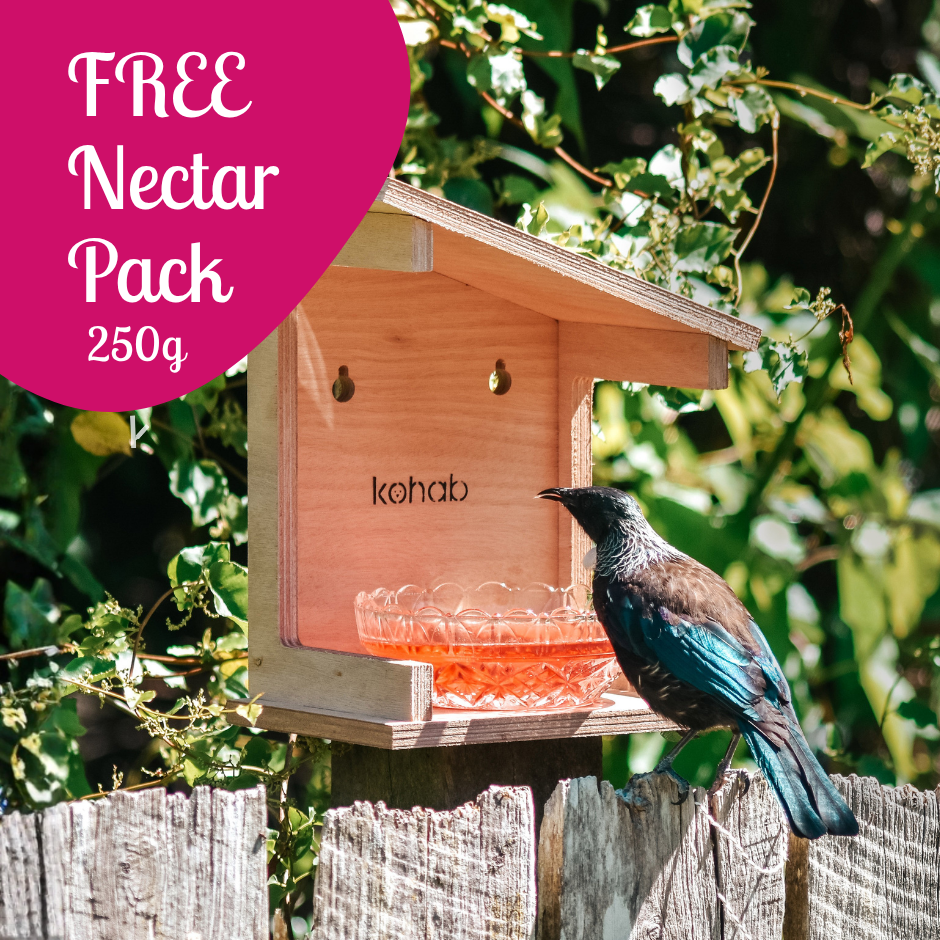 Kohab Tui Feeder & FREE Nectar Pack