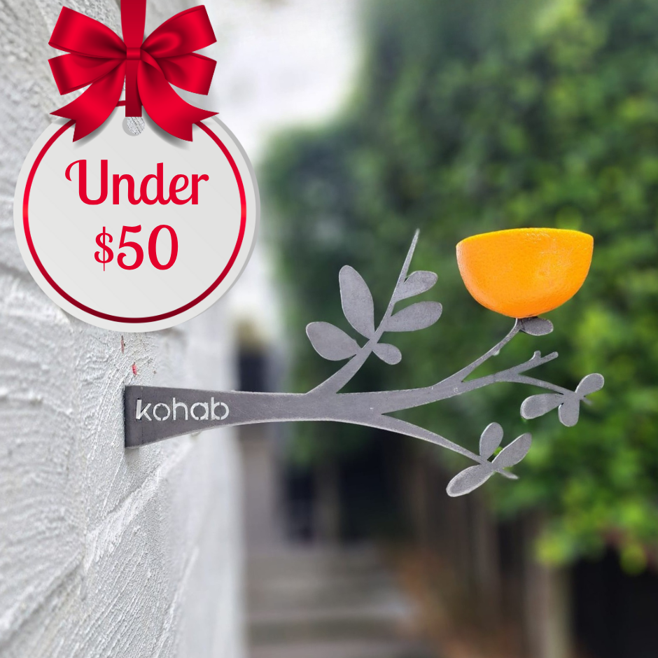 Kohab Branch with orange on it