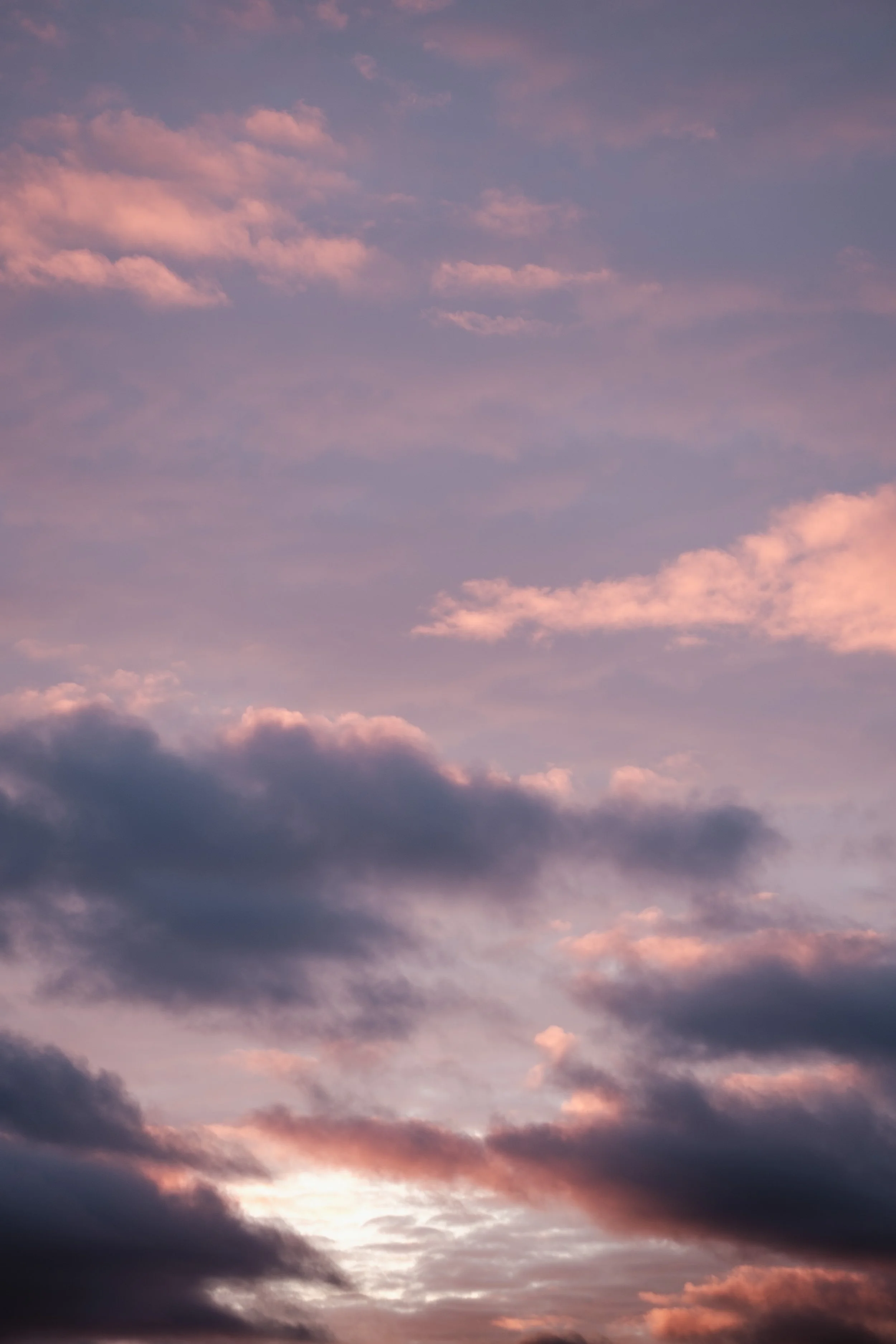 DSCF9190.jpg