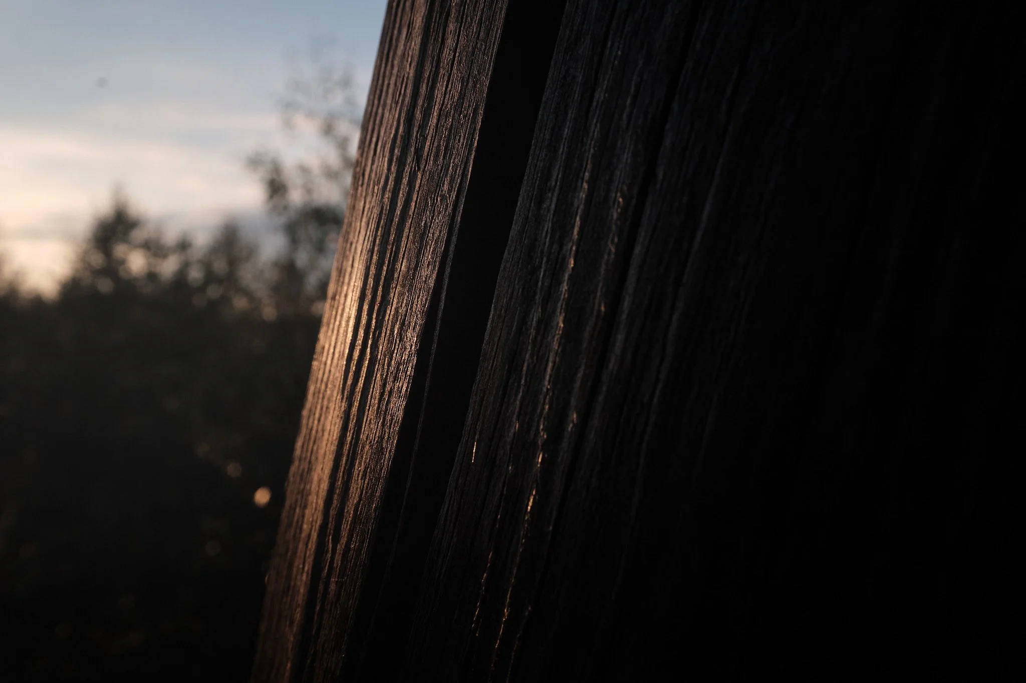 230915_nicklheimer-filze_XH2_DSF0675_2048px.jpg