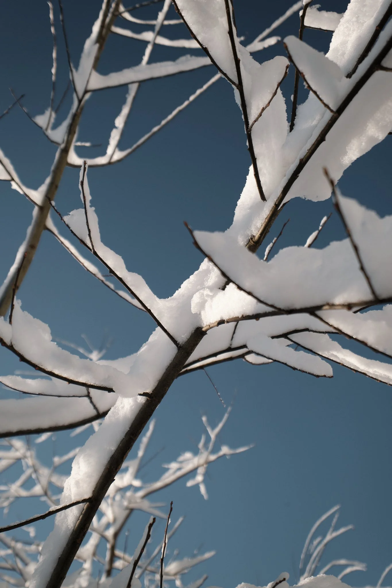 241221_skitour_ellmau_DSF1205.jpg