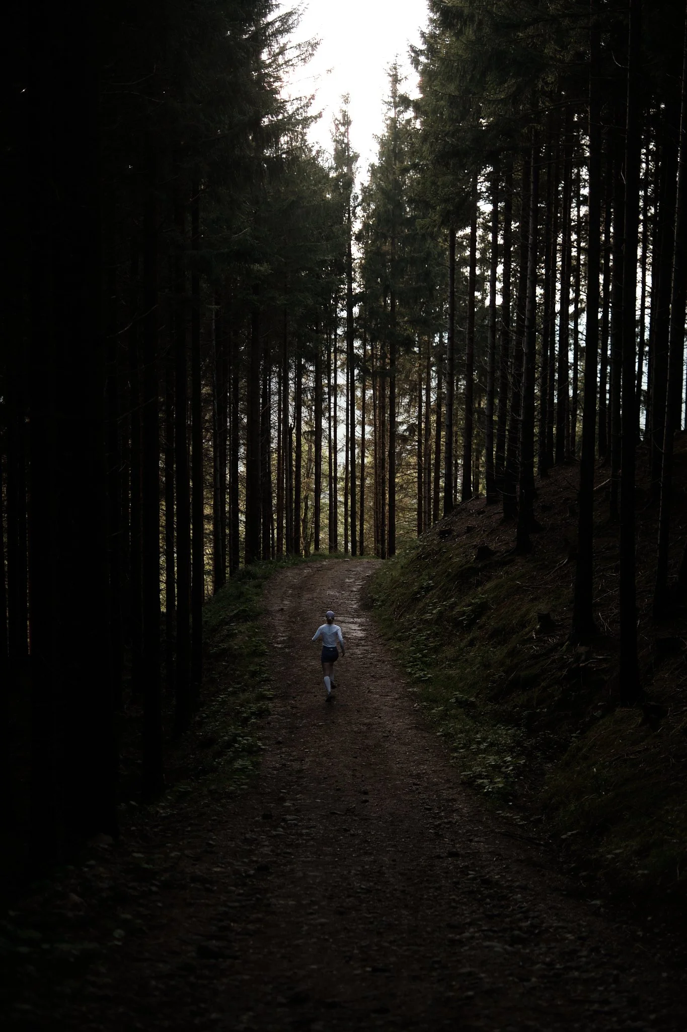 240509_jenbachtal_DSF0325.jpg