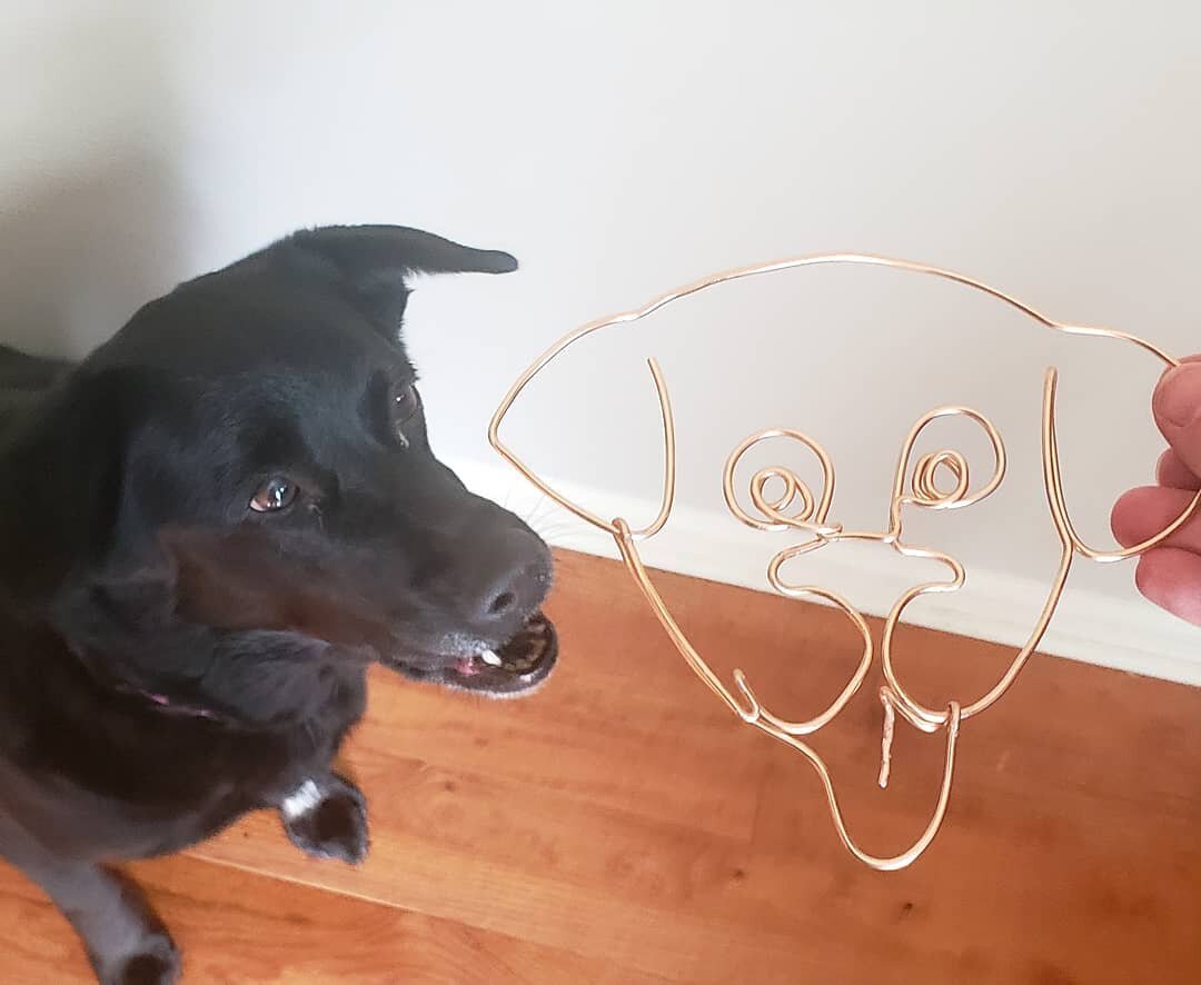 A quick little wire sketch to kick off Sunday 🐶 This is my lab mix, Myla! She's the perfect pup 95% of the time (and a mischievous opportunist the other 5%) 😆 I love her so much, but I'll never forget the time she chewed a giant hole through my Ant