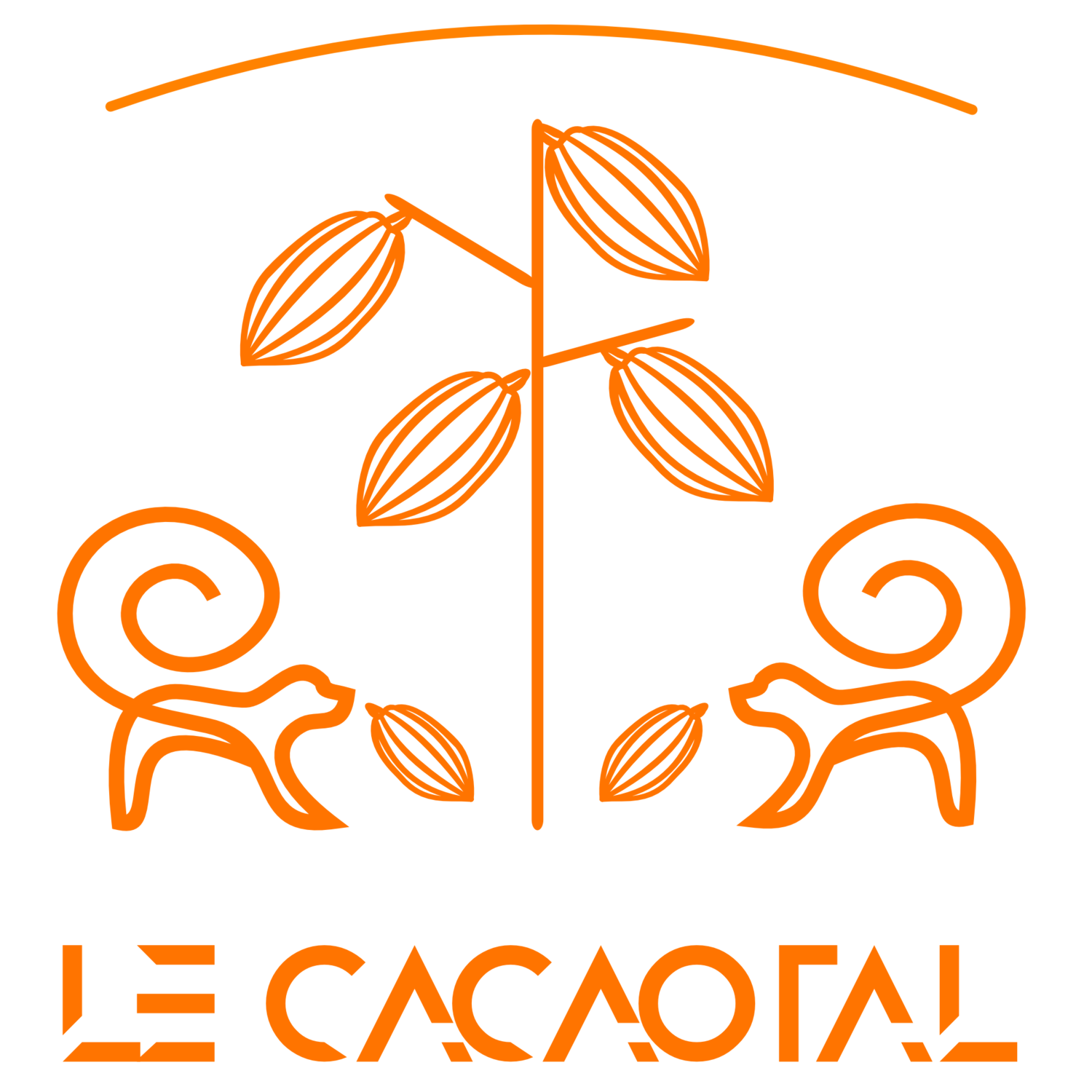Le Cacaotal - Cacaos rares