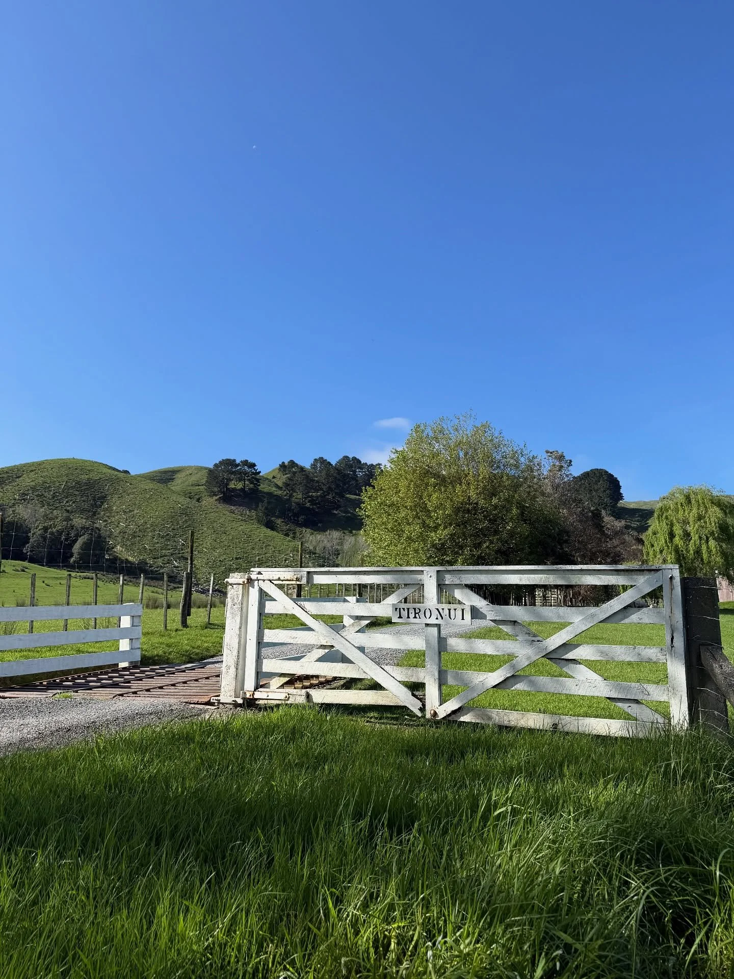 Here&rsquo;s hoping these blue skies will stick around until tomorrow 🤞☀️😎 think we deserve it after the last couple of markets! 

Orders open online until 9pm tonight (link in bio)