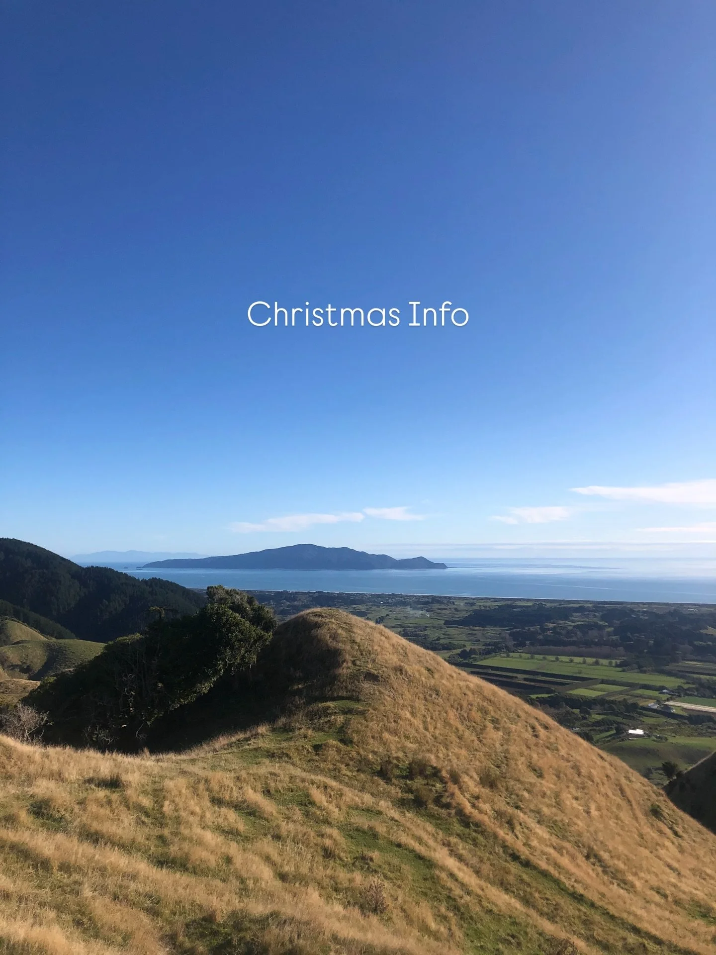 Here we are approaching the middle of December 🤯 and like you, we&rsquo;re looking forward to a rest over the holidays ☀️ 

Just two more Saturday markets for us this year - last one on the 20th. We can&rsquo;t make the Night Market this year, but h