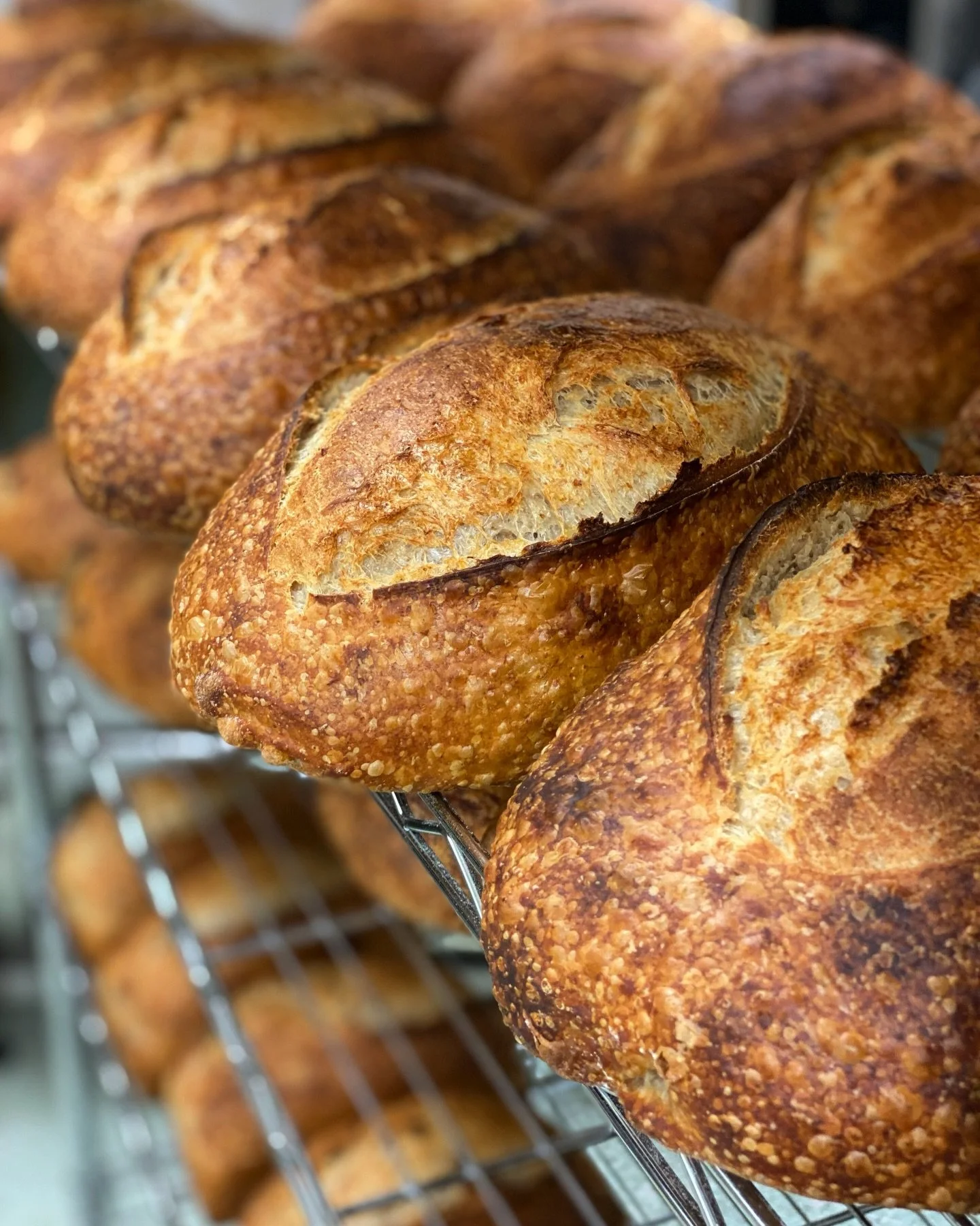 First loaves for 2026 available TODAY from our friends @thebigeggotaki and @seriouslypickled 

Get in quick 🏃&zwj;♀️&zwj;➡️

Orders open online for @waikanaemarket pick up this Saturday ☀️